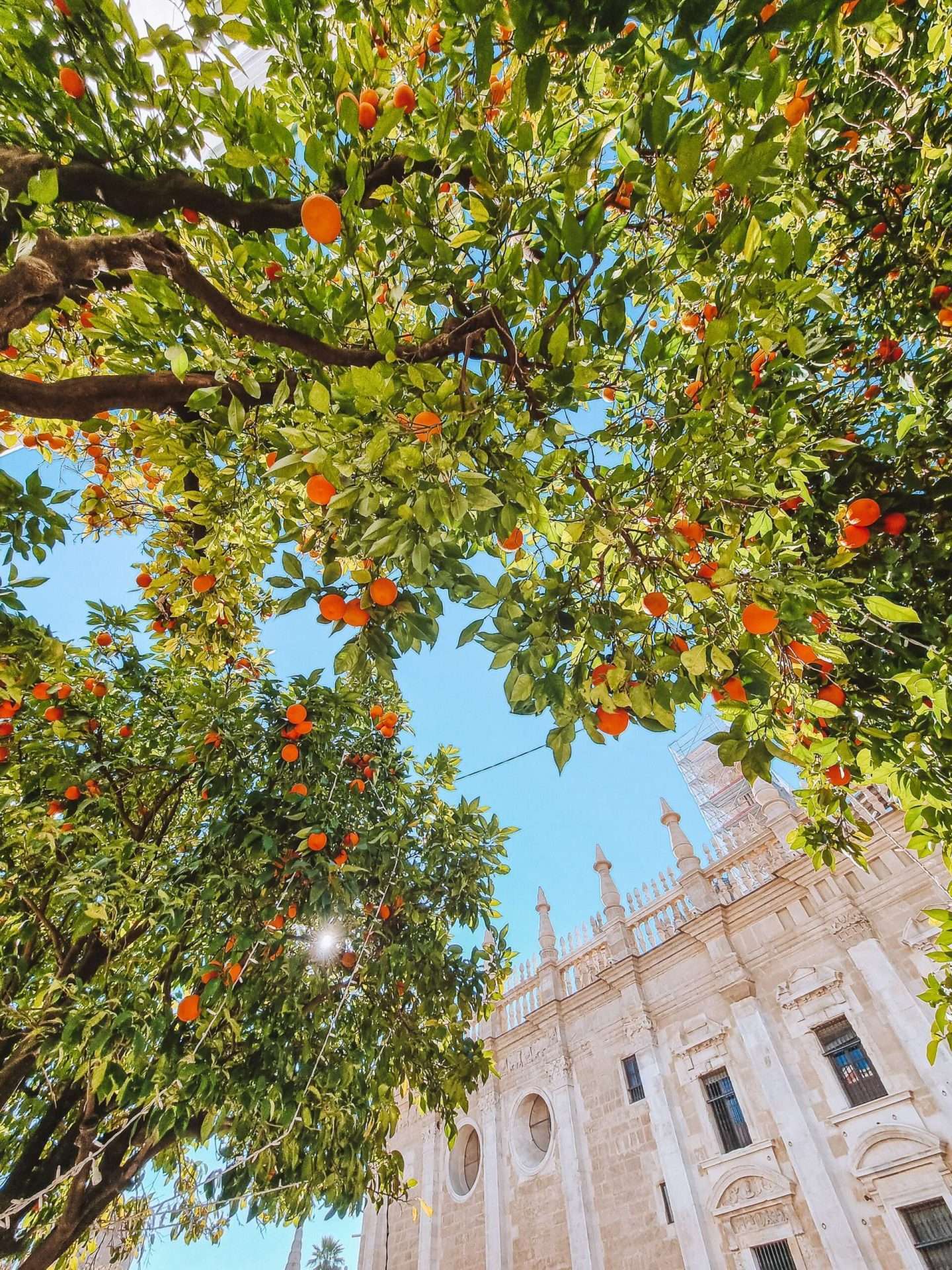 bezienswaardigheden in Sevilla