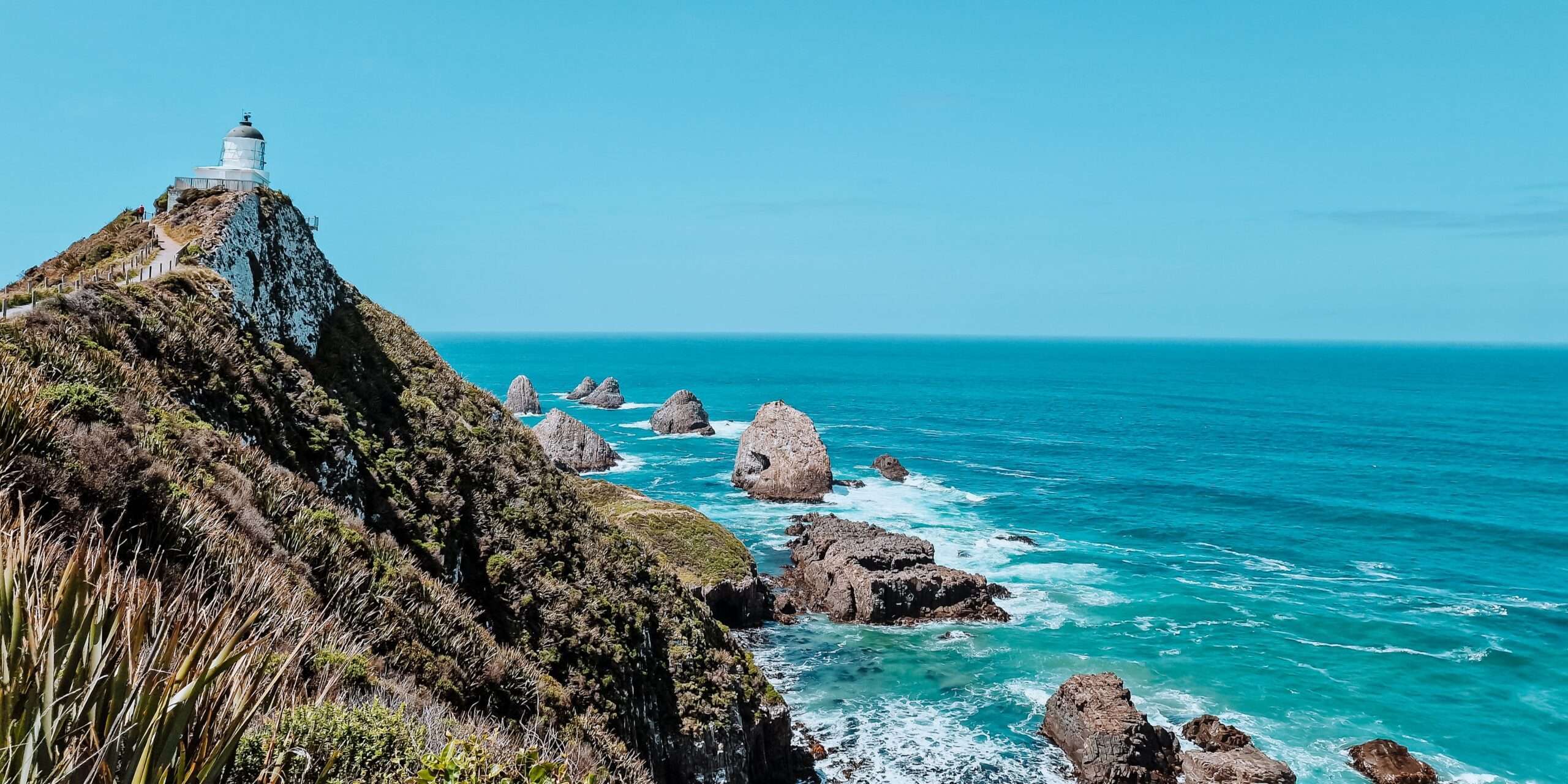 nugget point zuidereiland