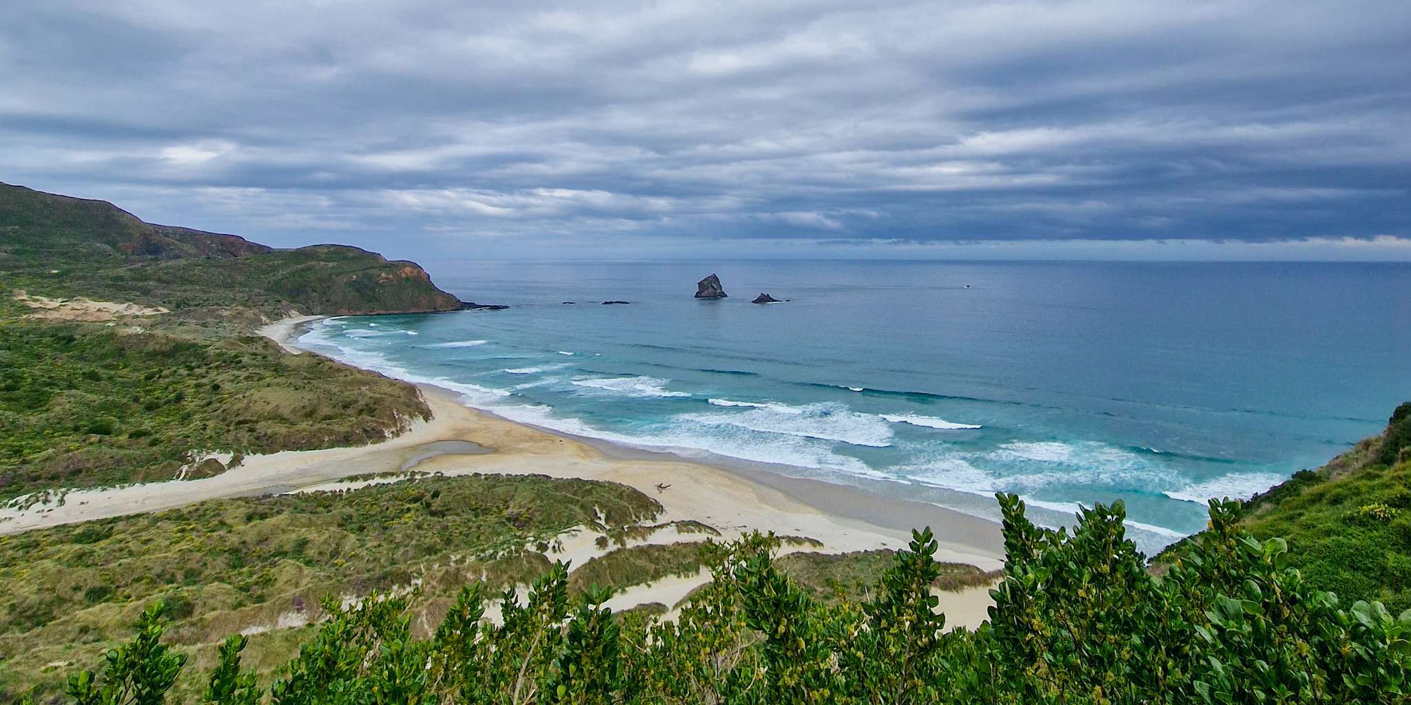 otago peninsula nieuw-zeeland