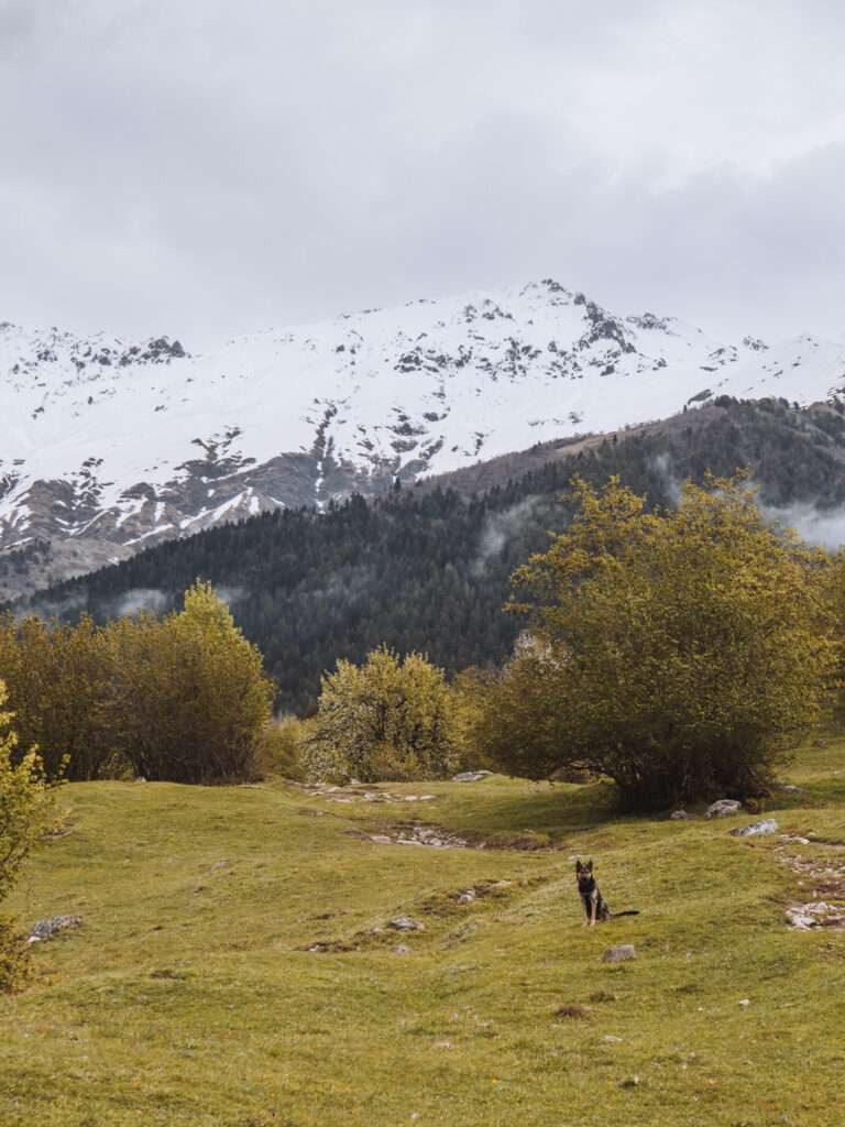 Kaukasus gebergte in Georgië