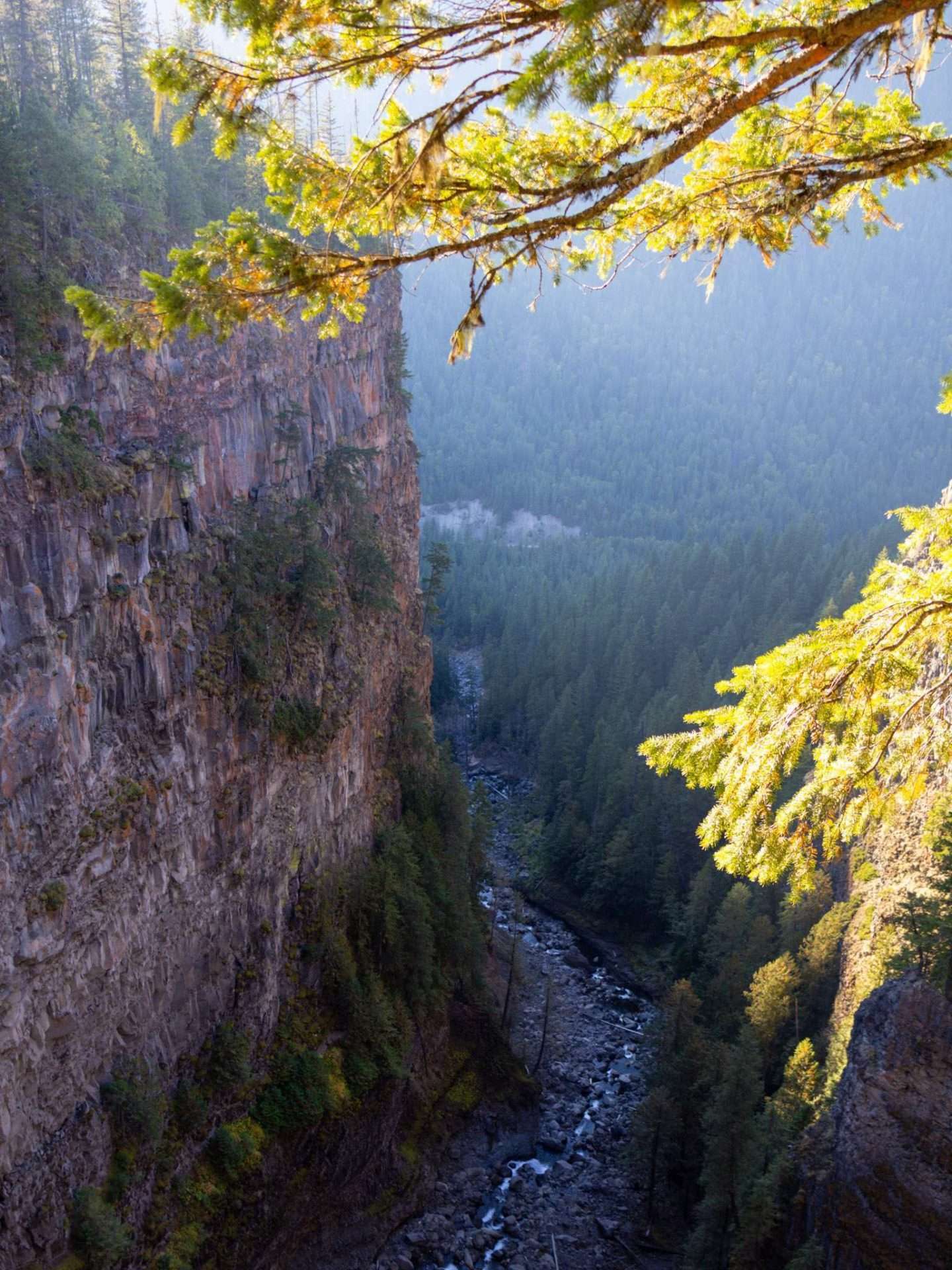clearwater provincial park