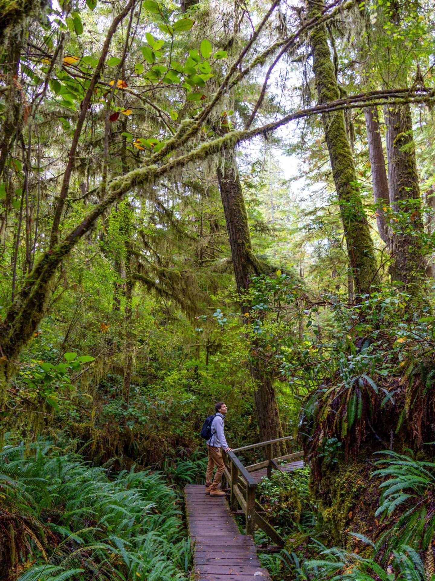 tofino canada