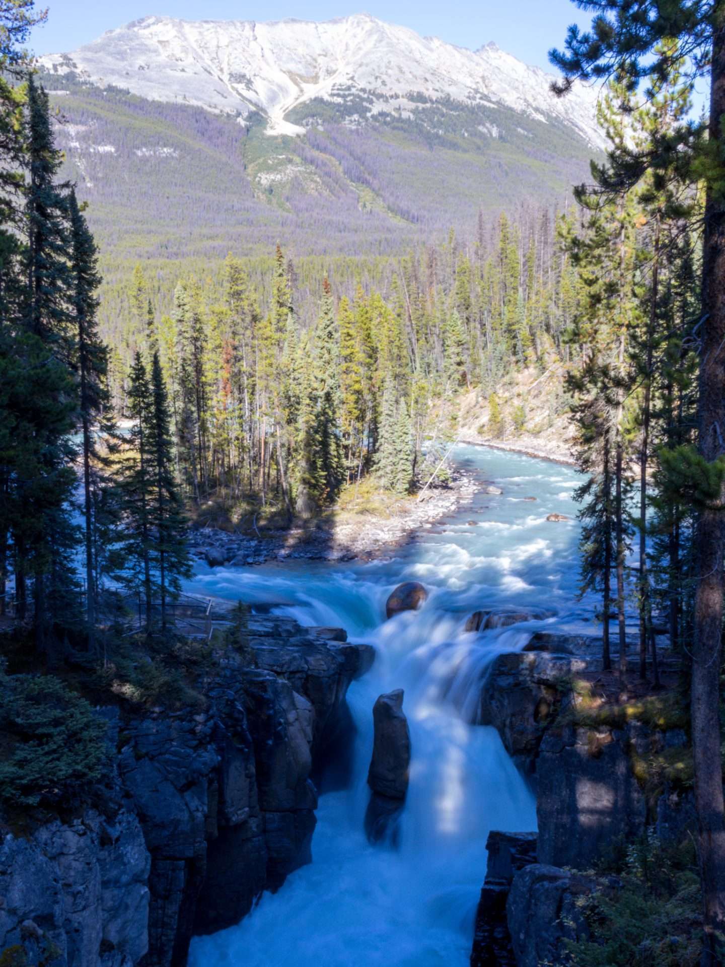 sunwapta falls