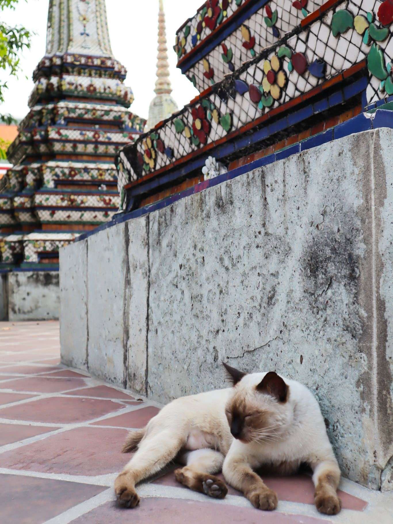 doen in Bangkok Thailand