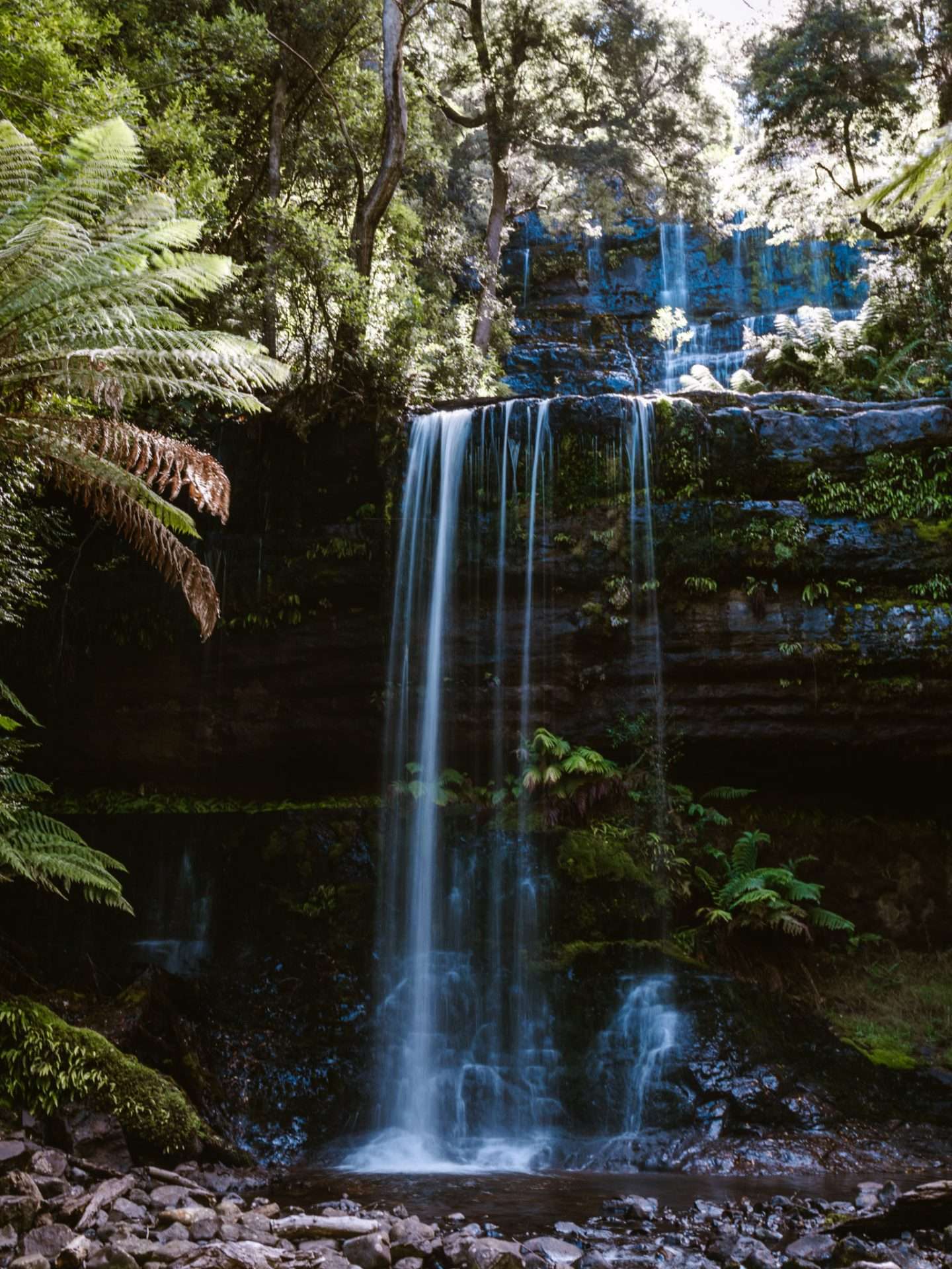 mount field national park waterval