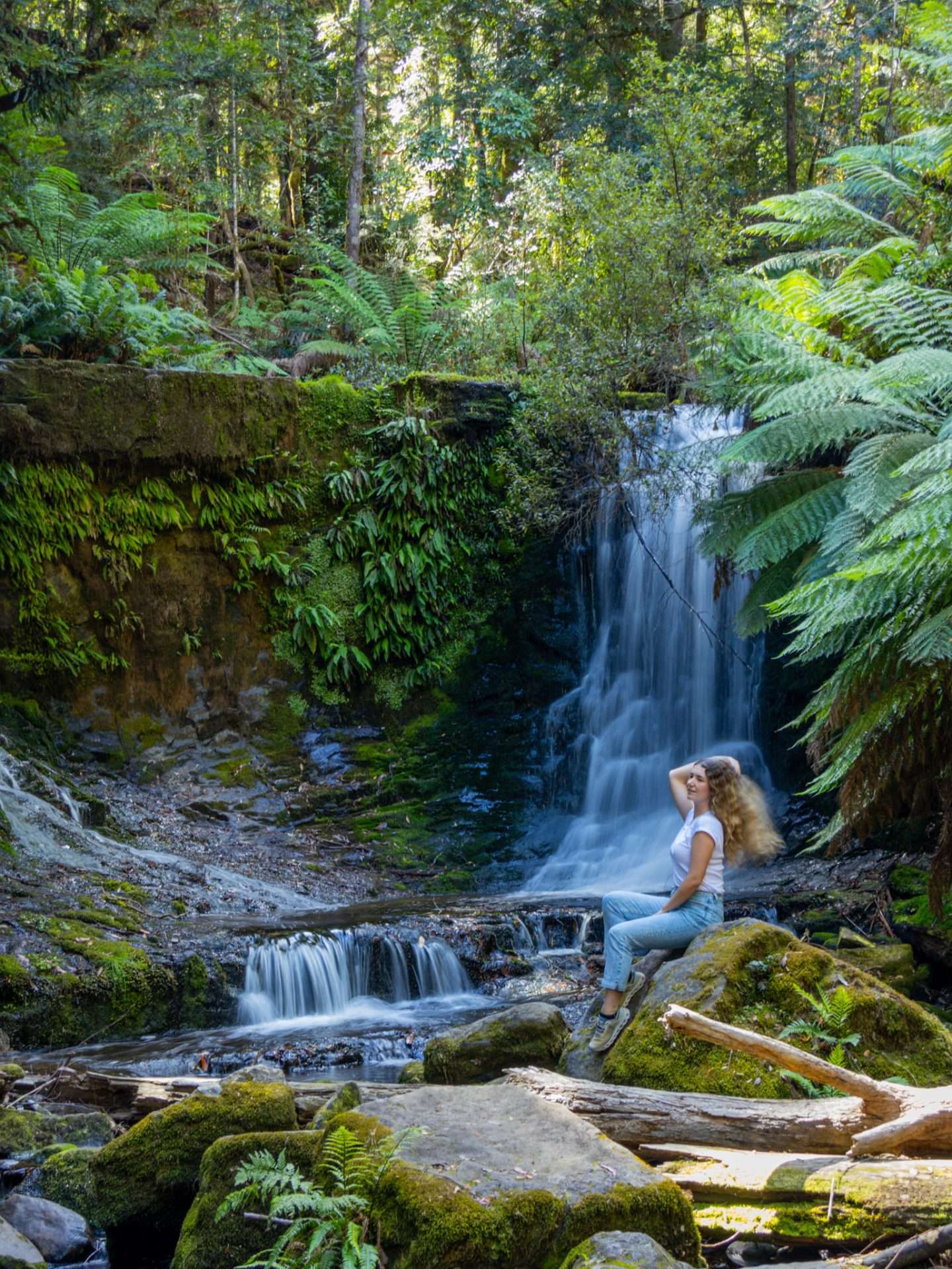 tasmanië mount field national park