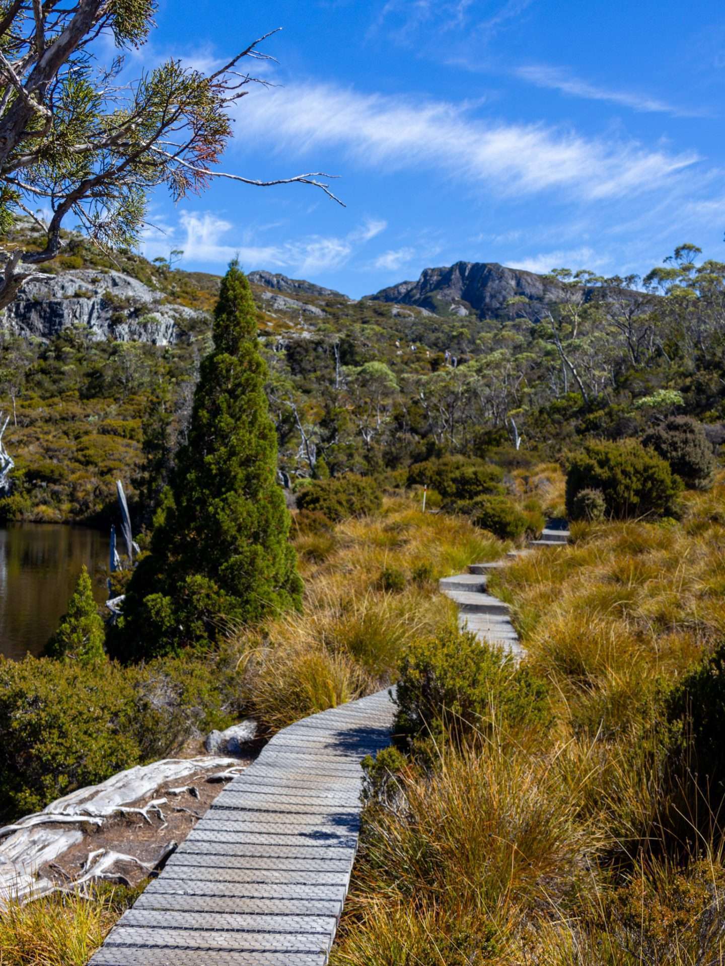 ronny creek tasmanië