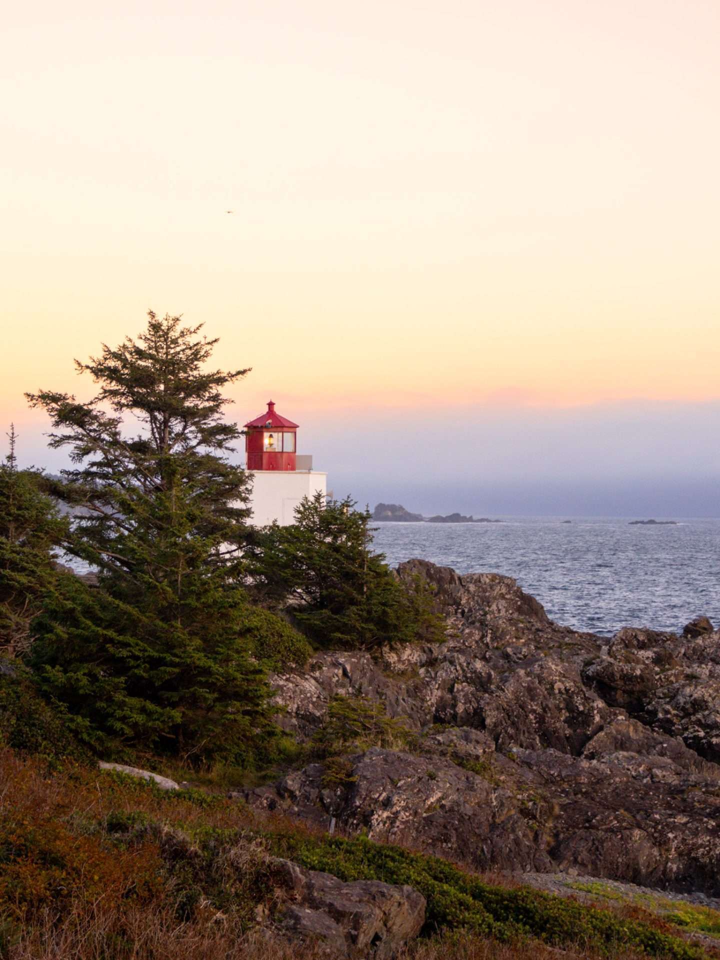 lighthouse loop ucluelet 