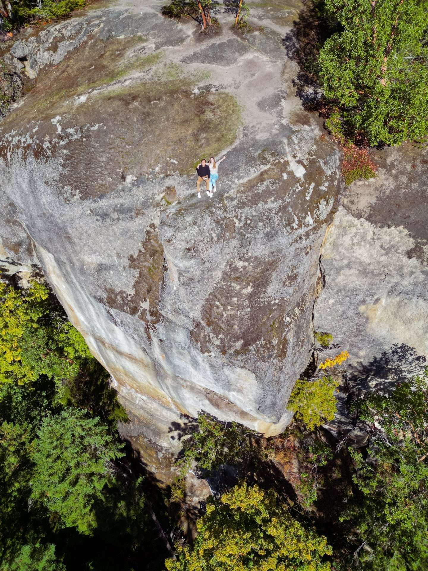 little mountain lookout vancouver island drone