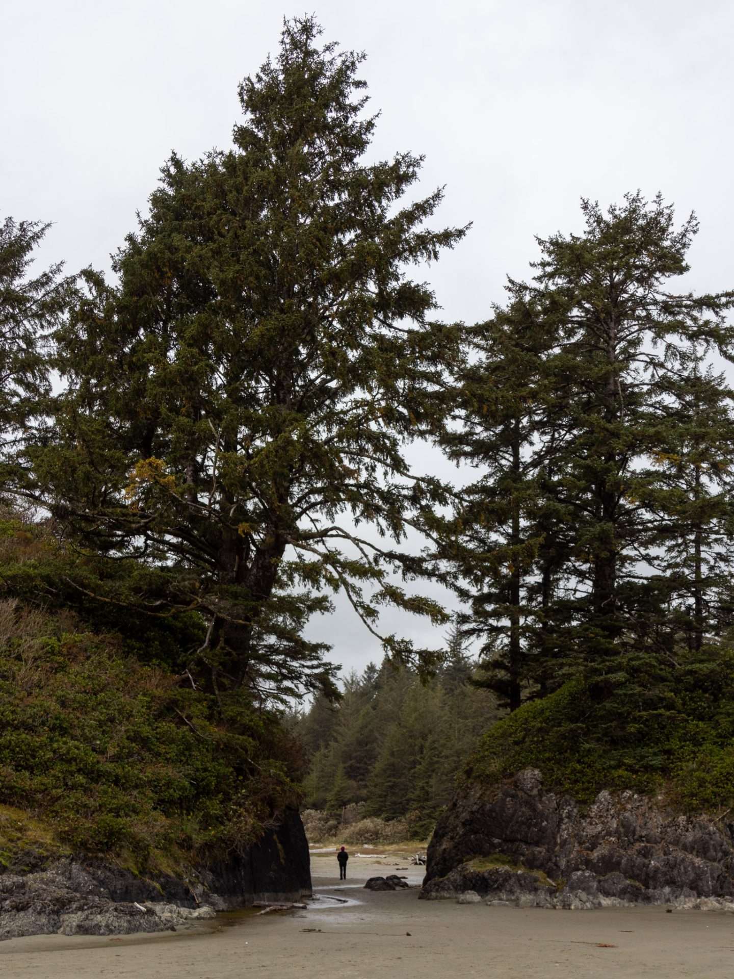 long beach vancouver island