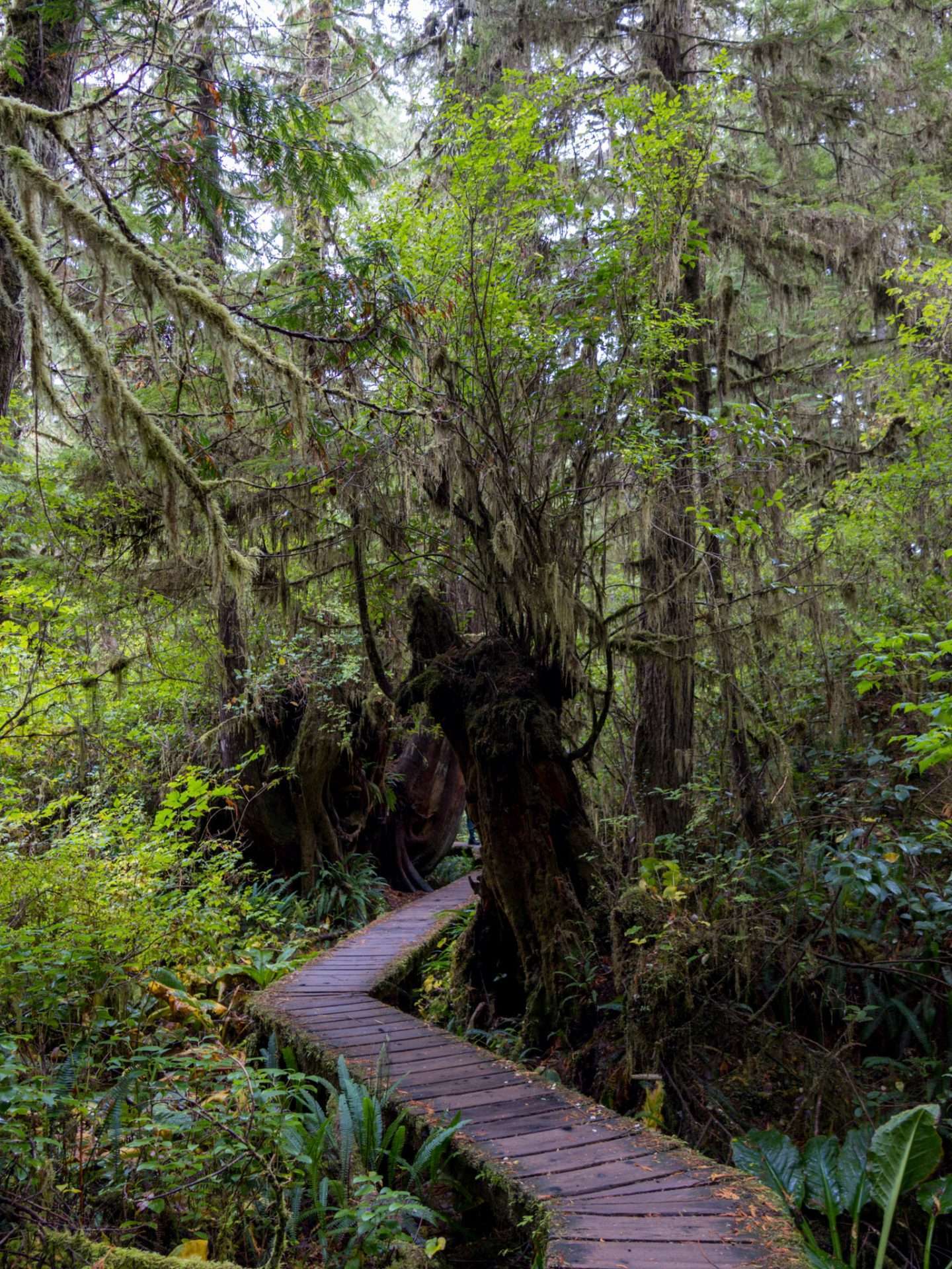 pacific rim national park canada