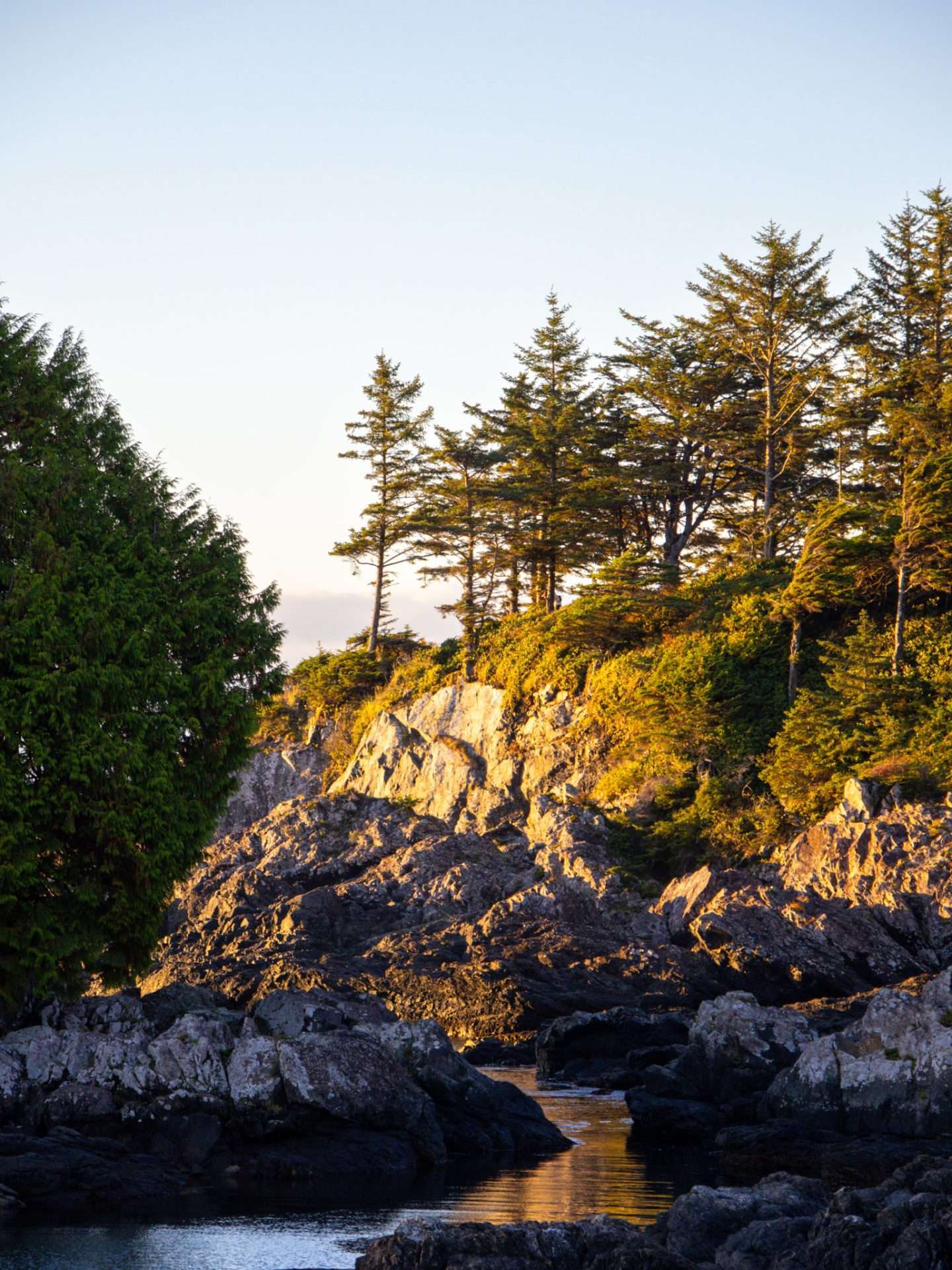 wild pacific trail vancouver island
