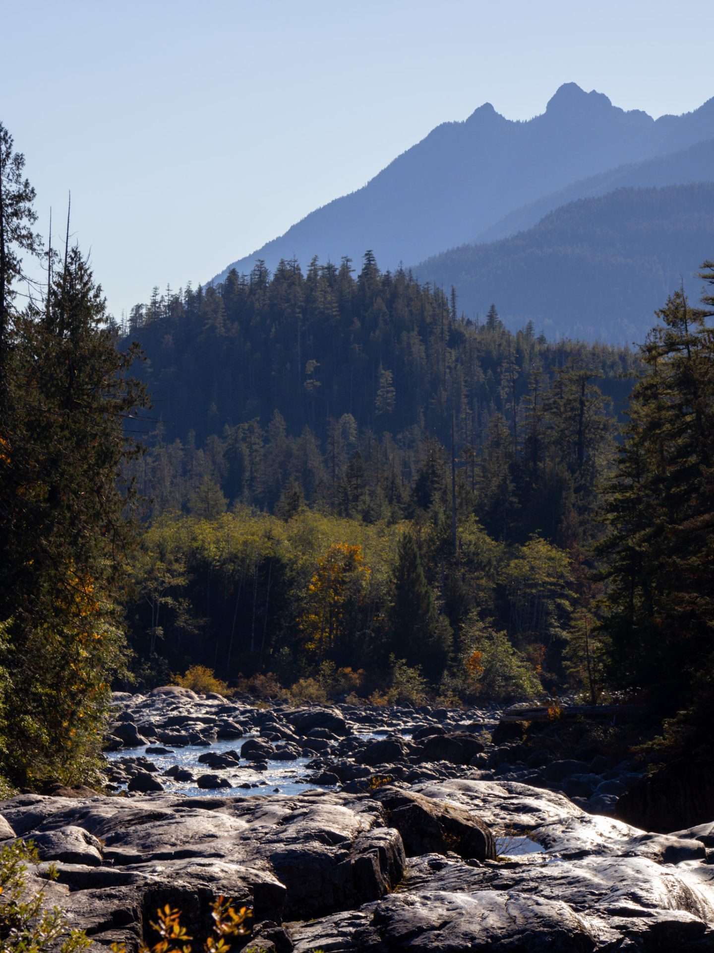 wally creek
