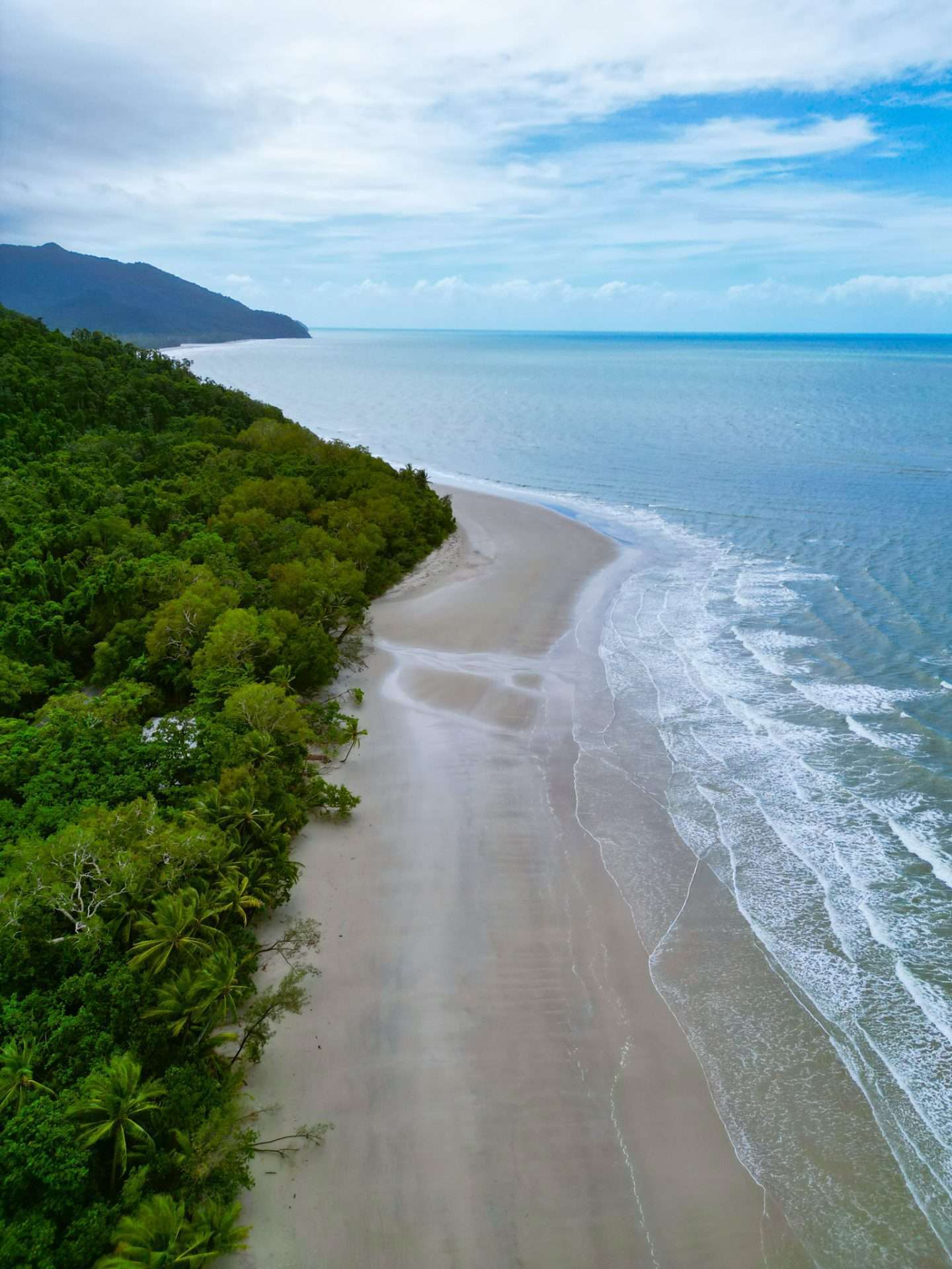 cape tribulation australië
