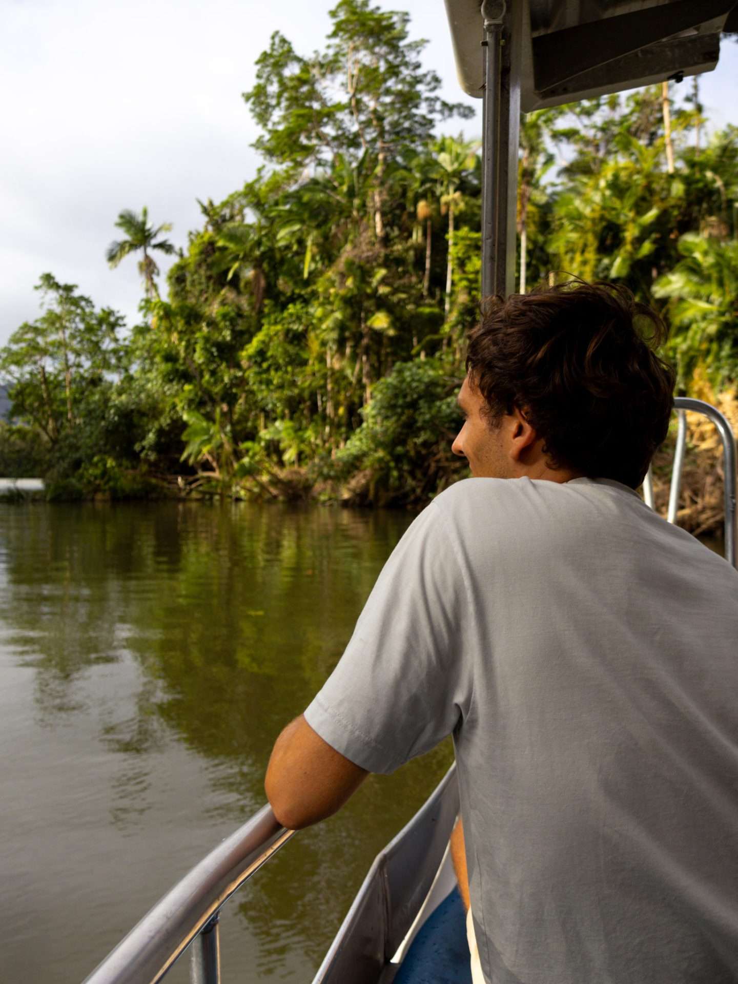 daintree solar cruise