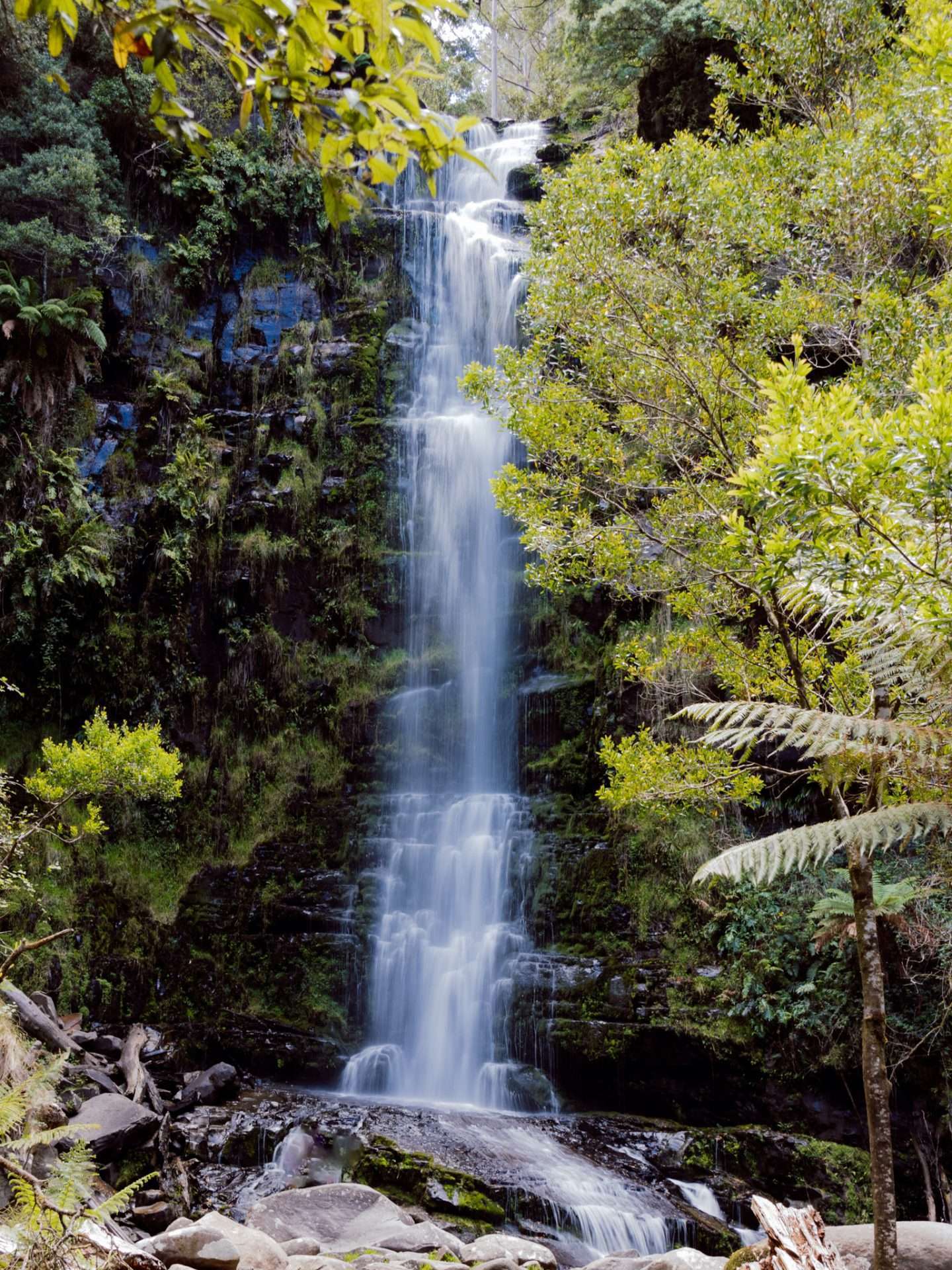 erskine falls great ocean road