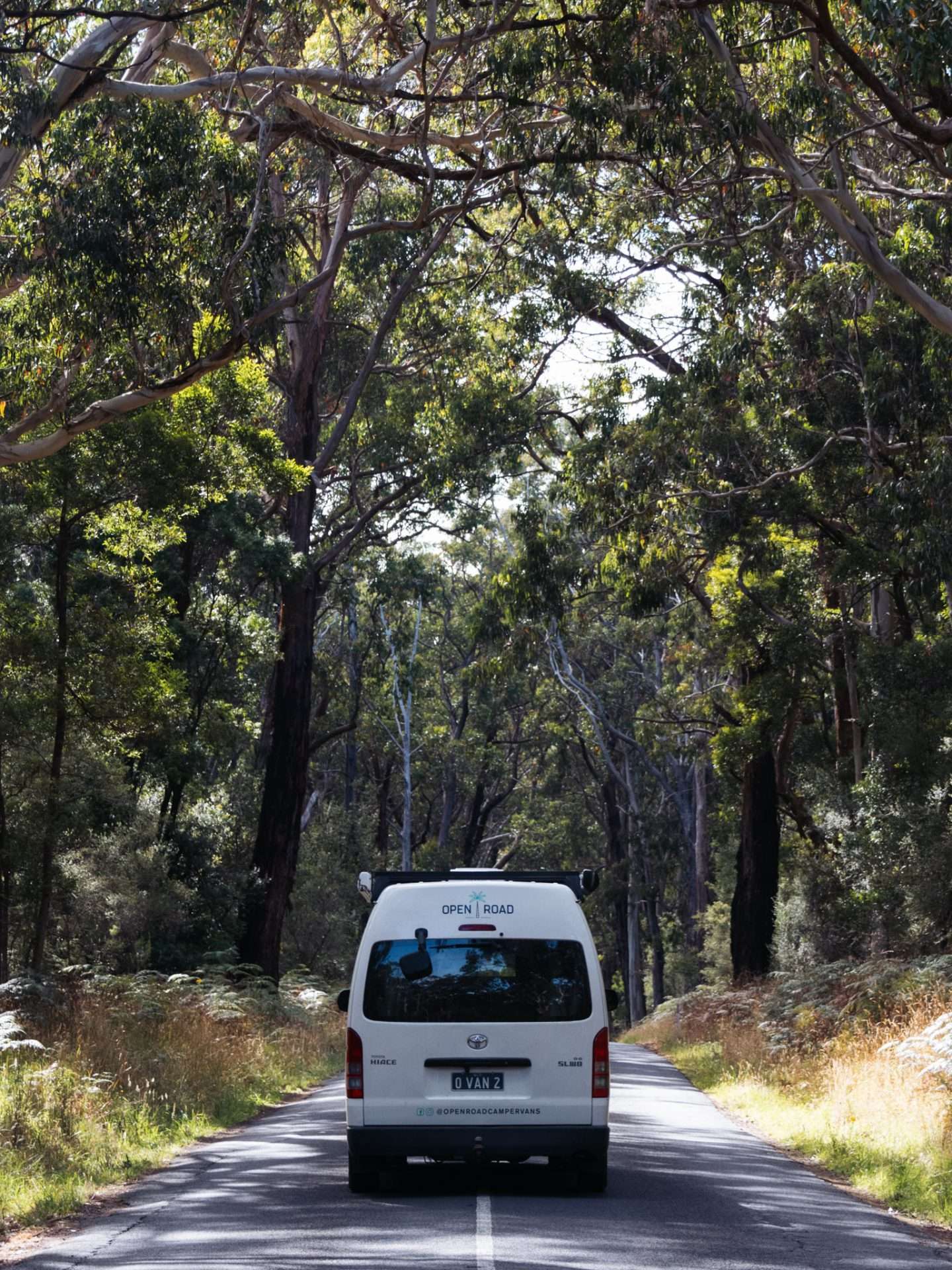cape otway national park 