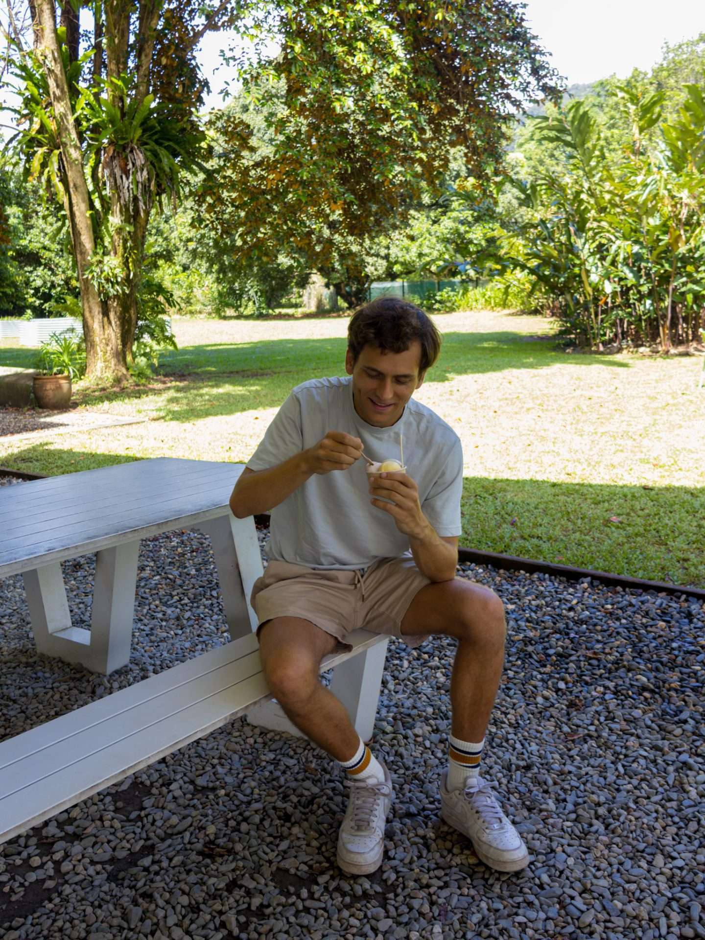 daintree ice company