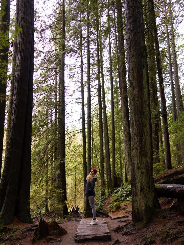 lynn canyon park