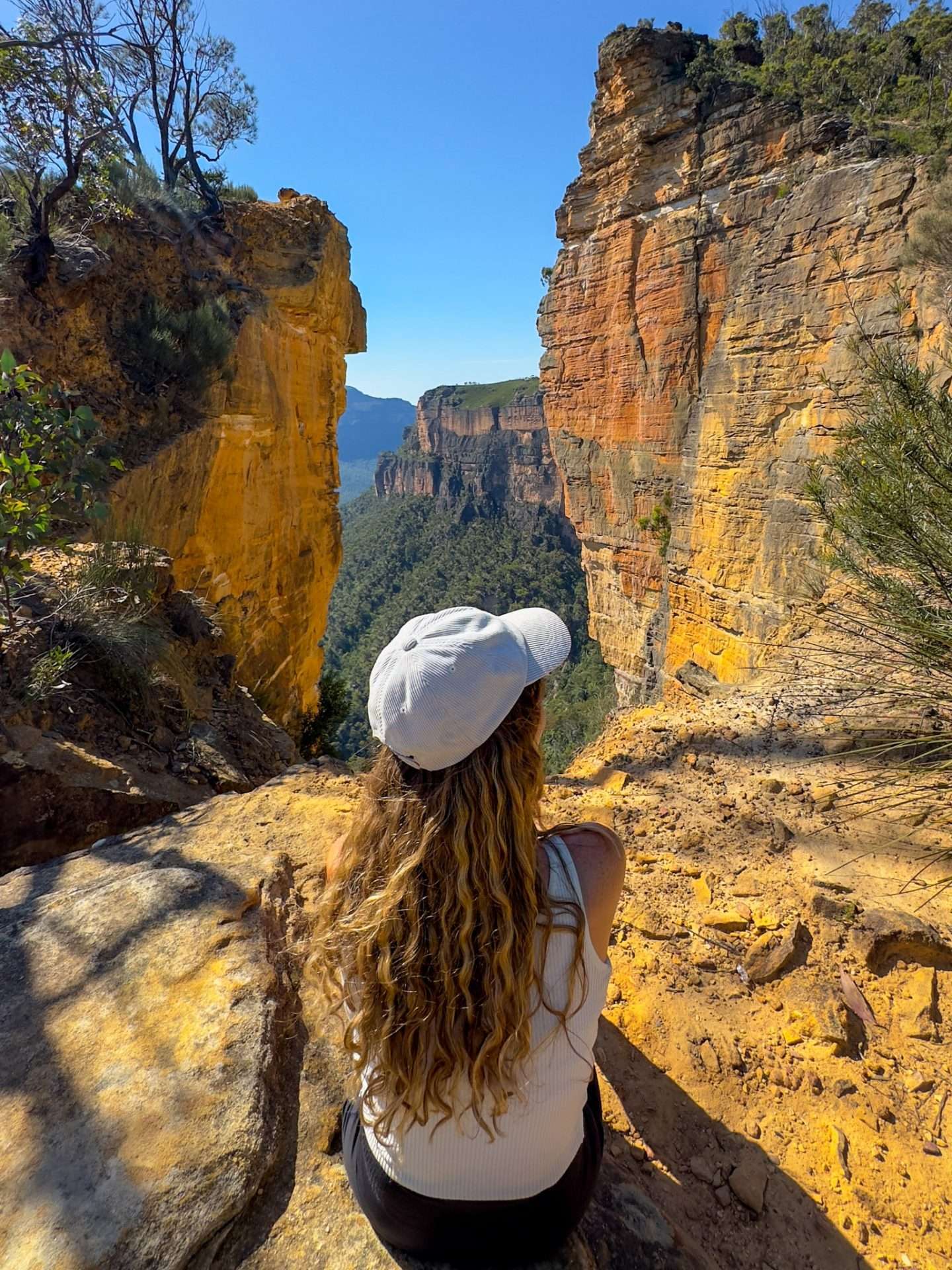 blue mountains in australië
