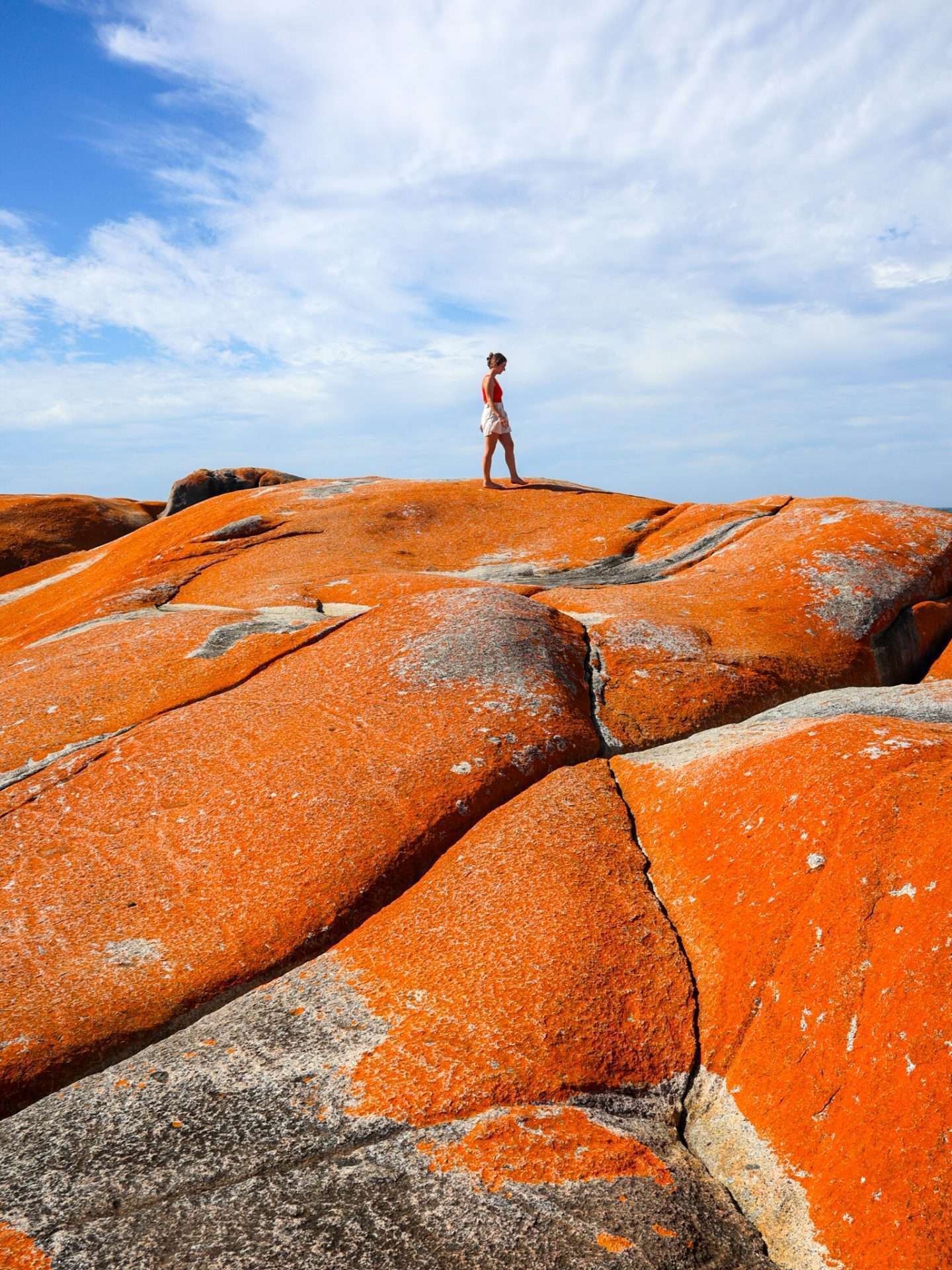 the gardens bay of fires