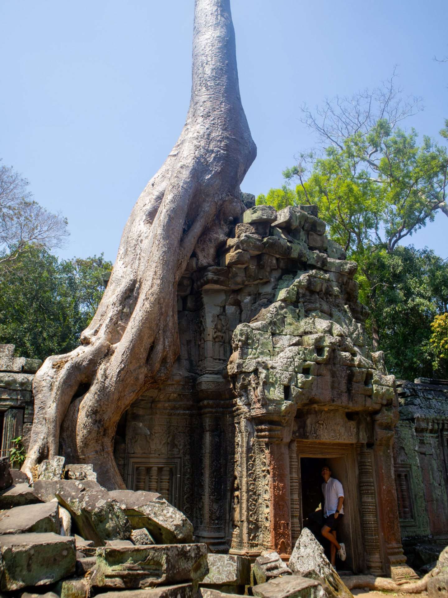 ta prohm cambodia