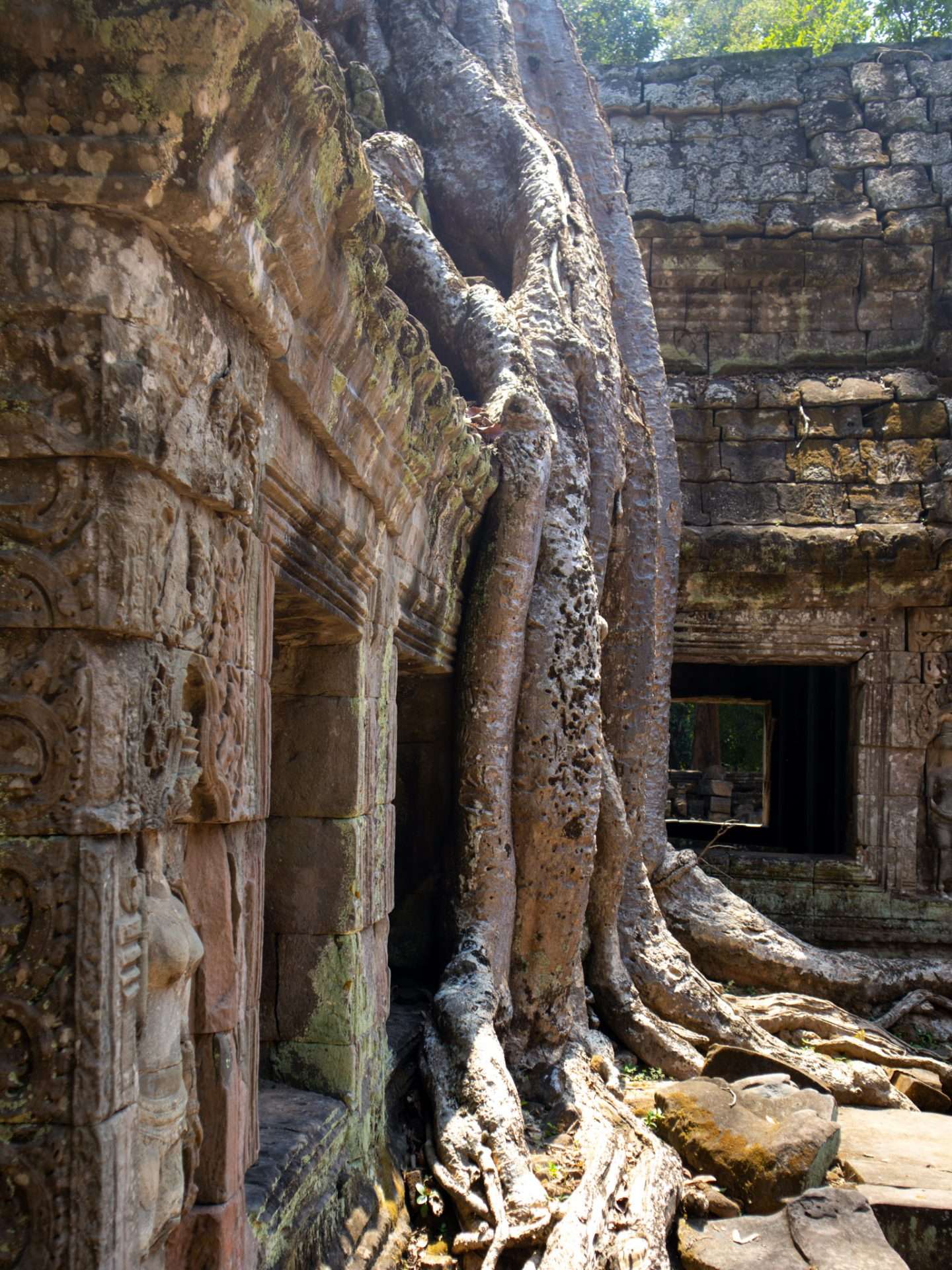 ta prohm lara croft  