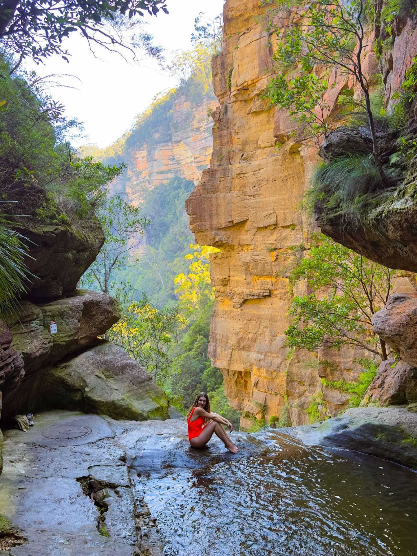 blue mountains