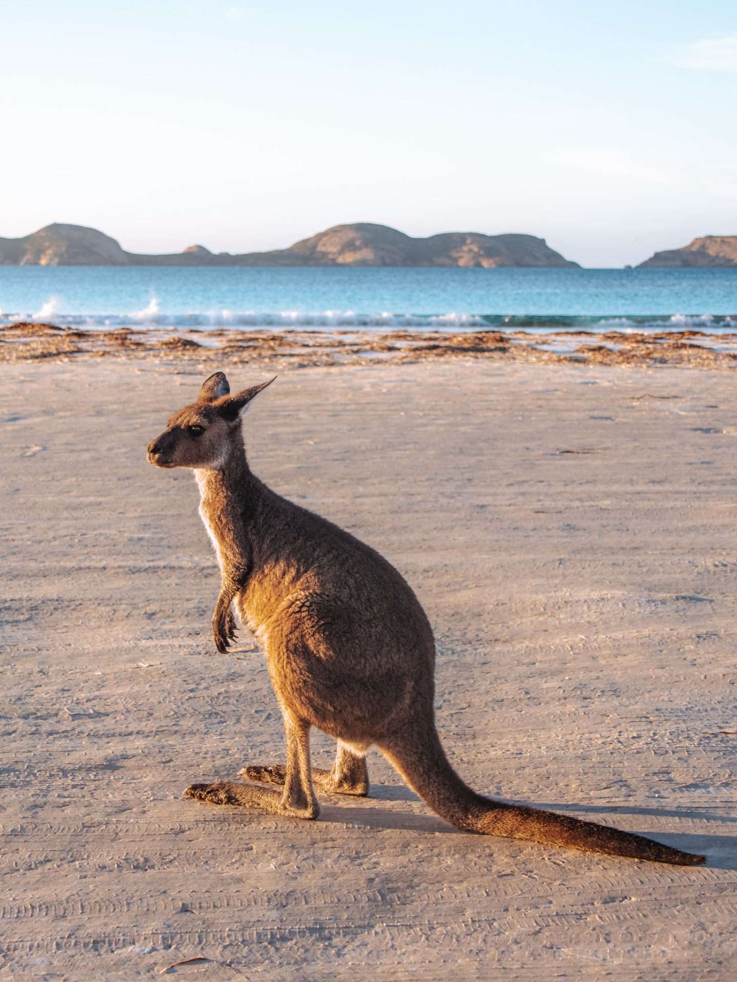 lucky bay