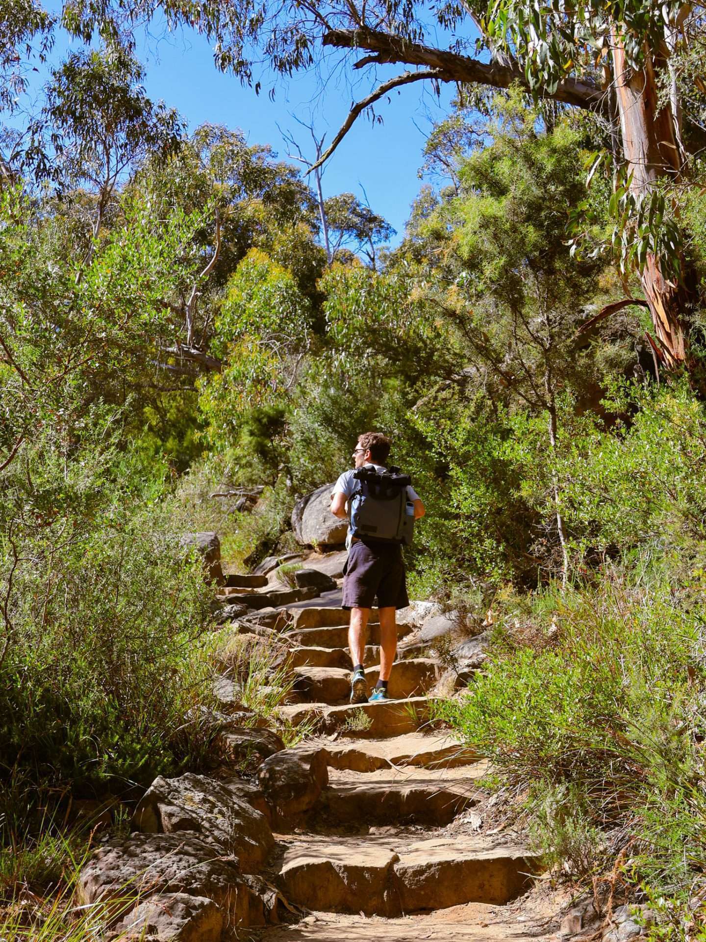 wandelen in de grampians
