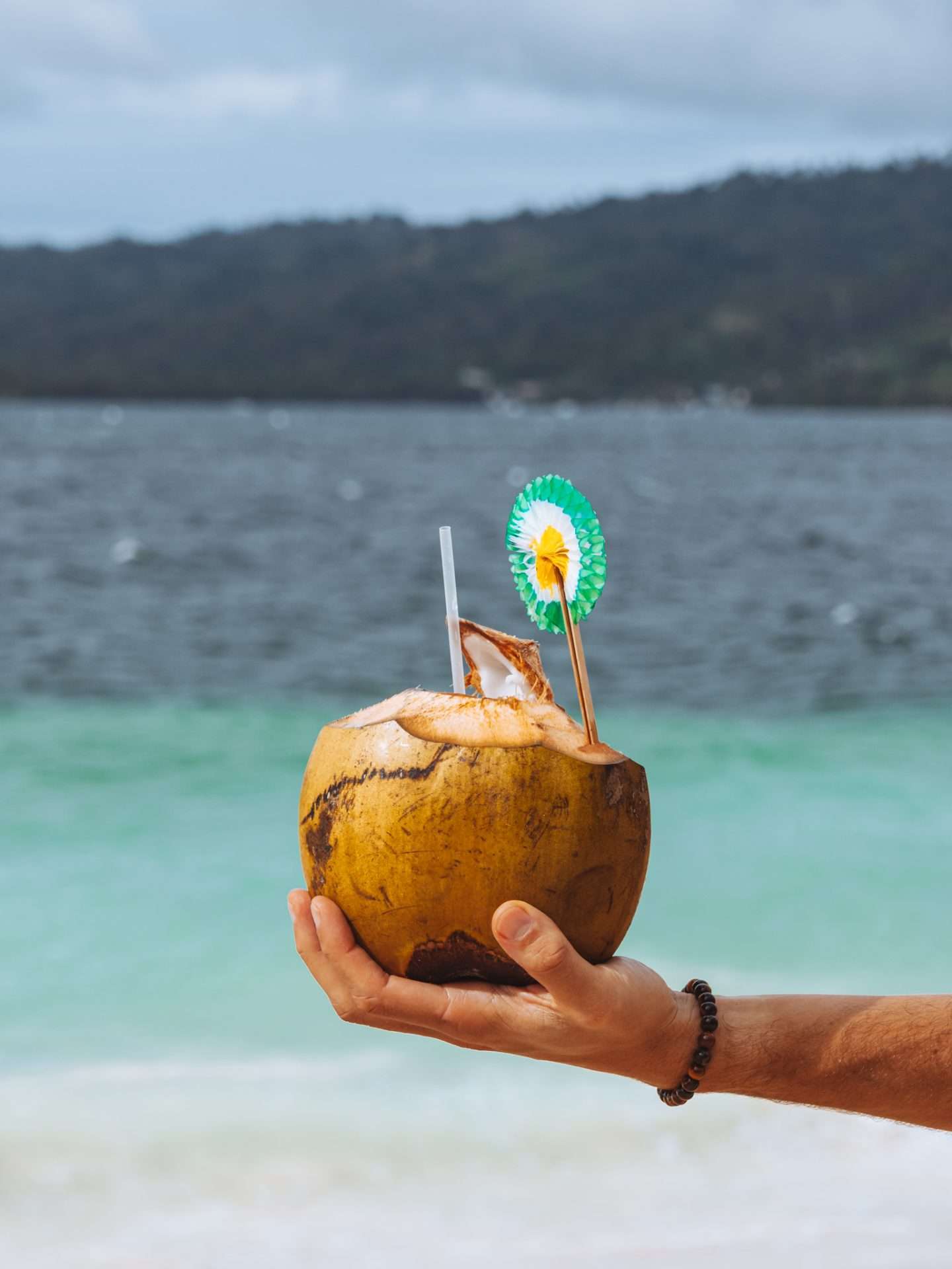 kokosnoot in de dominicaanse republiek
