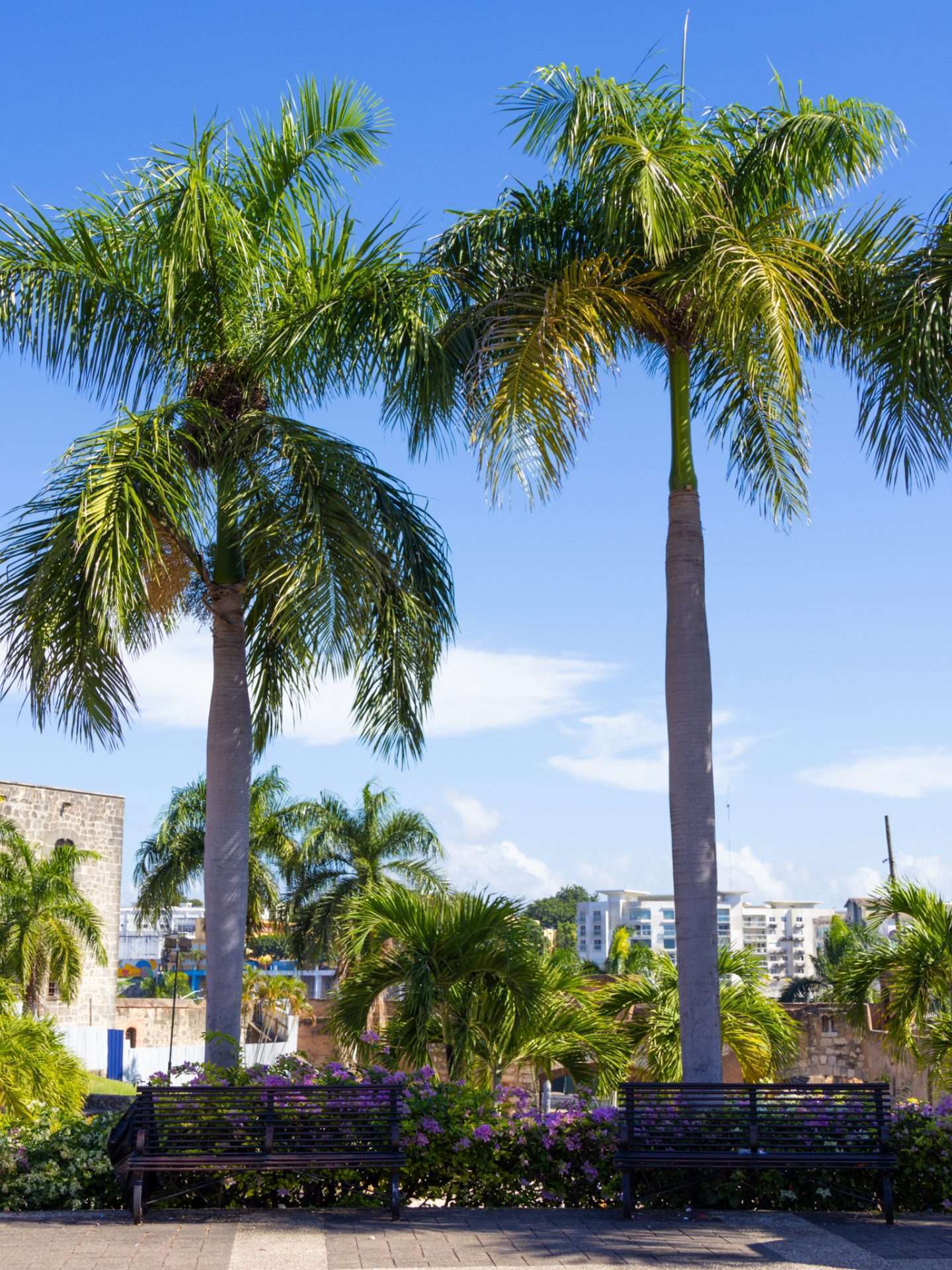 plaza d'espana santo domingo