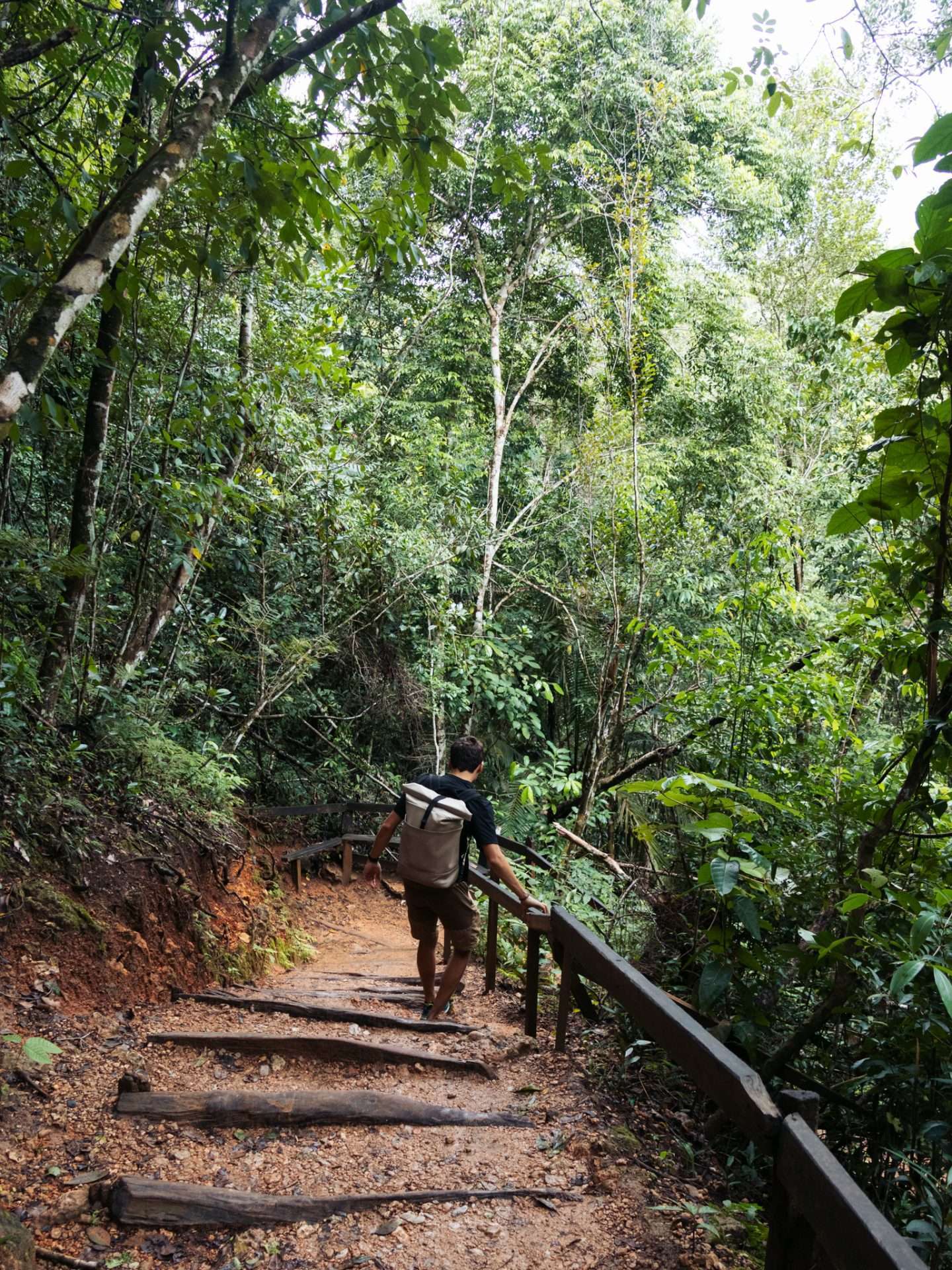 wandelen naar el limon waterval
