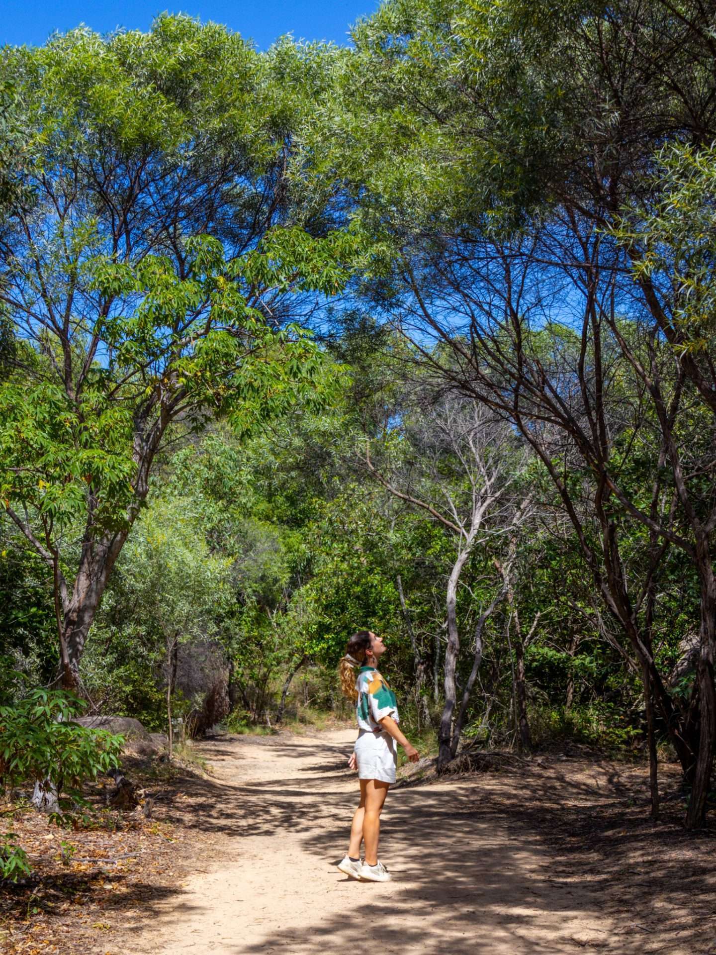 forts walk magnetic island