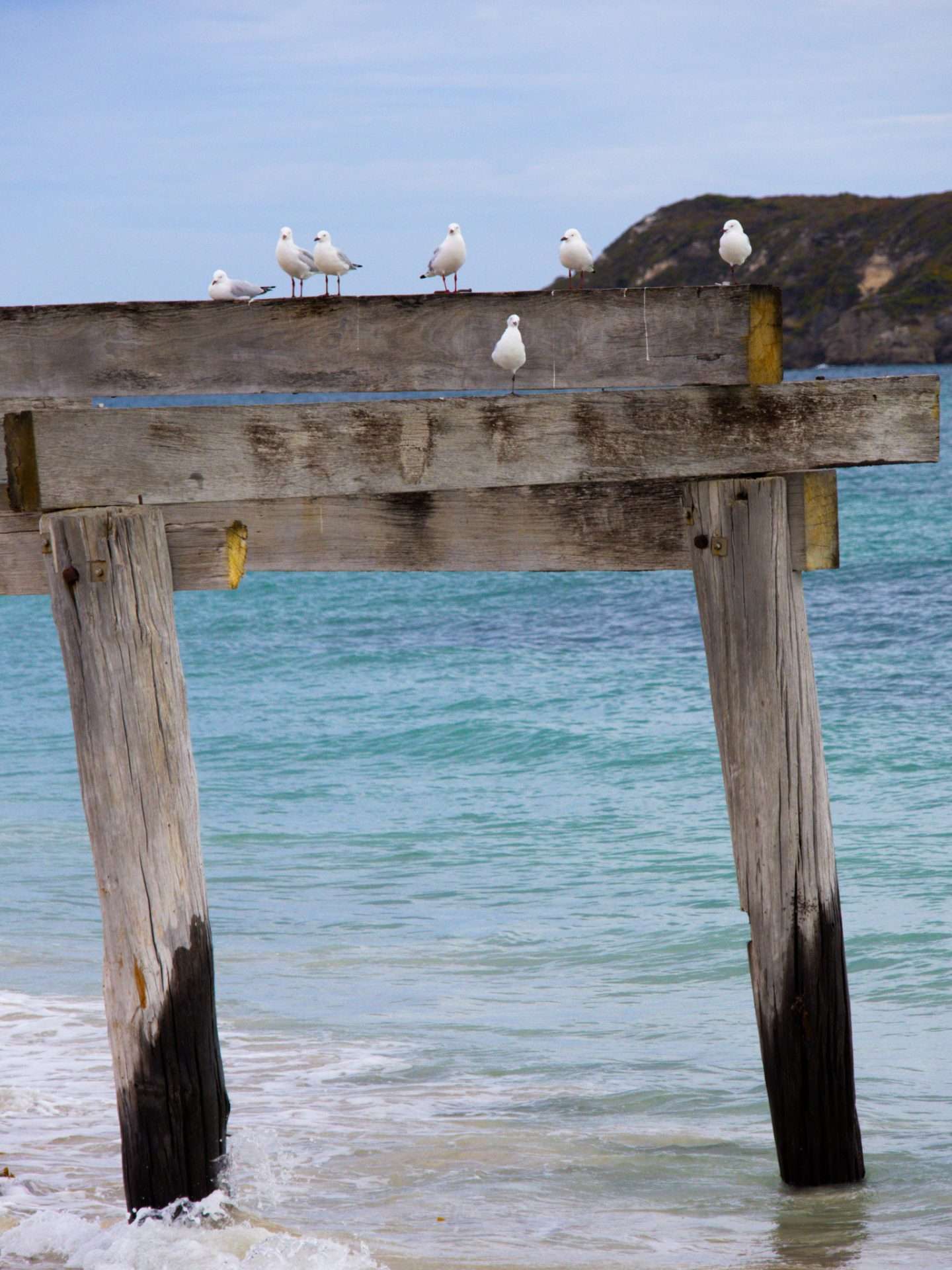 hamelin bay