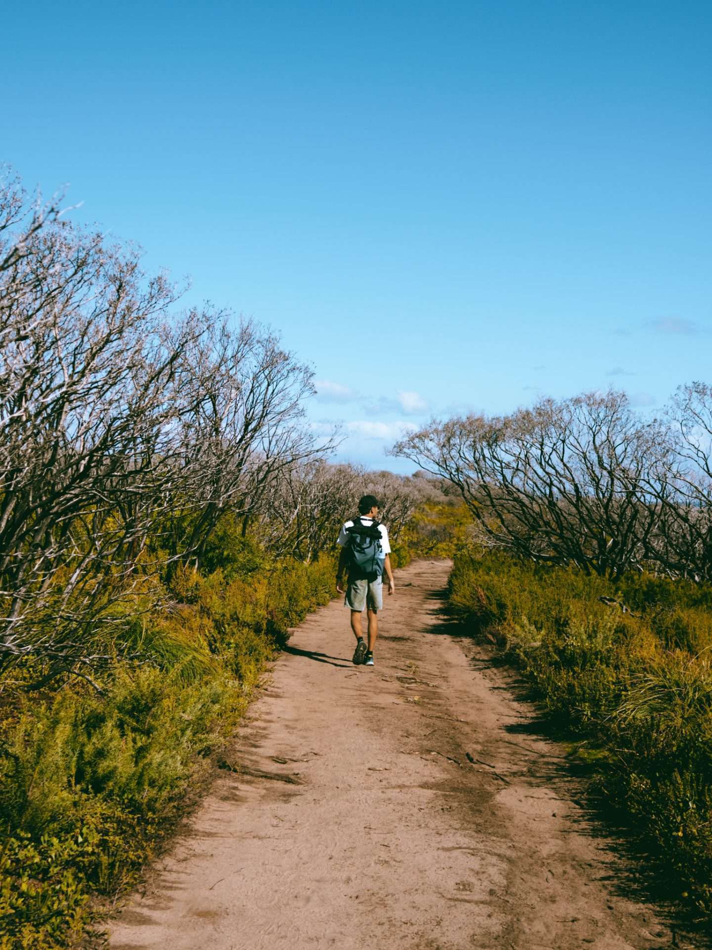 cape to cape track 