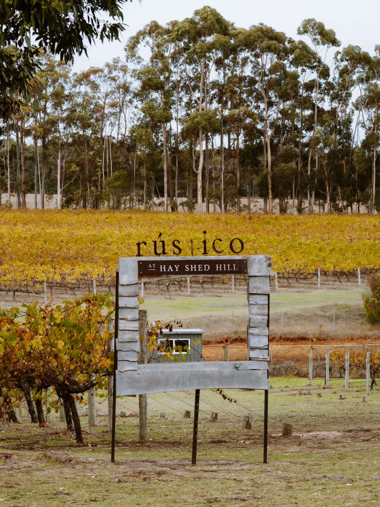 hay shed hill wines margaret river