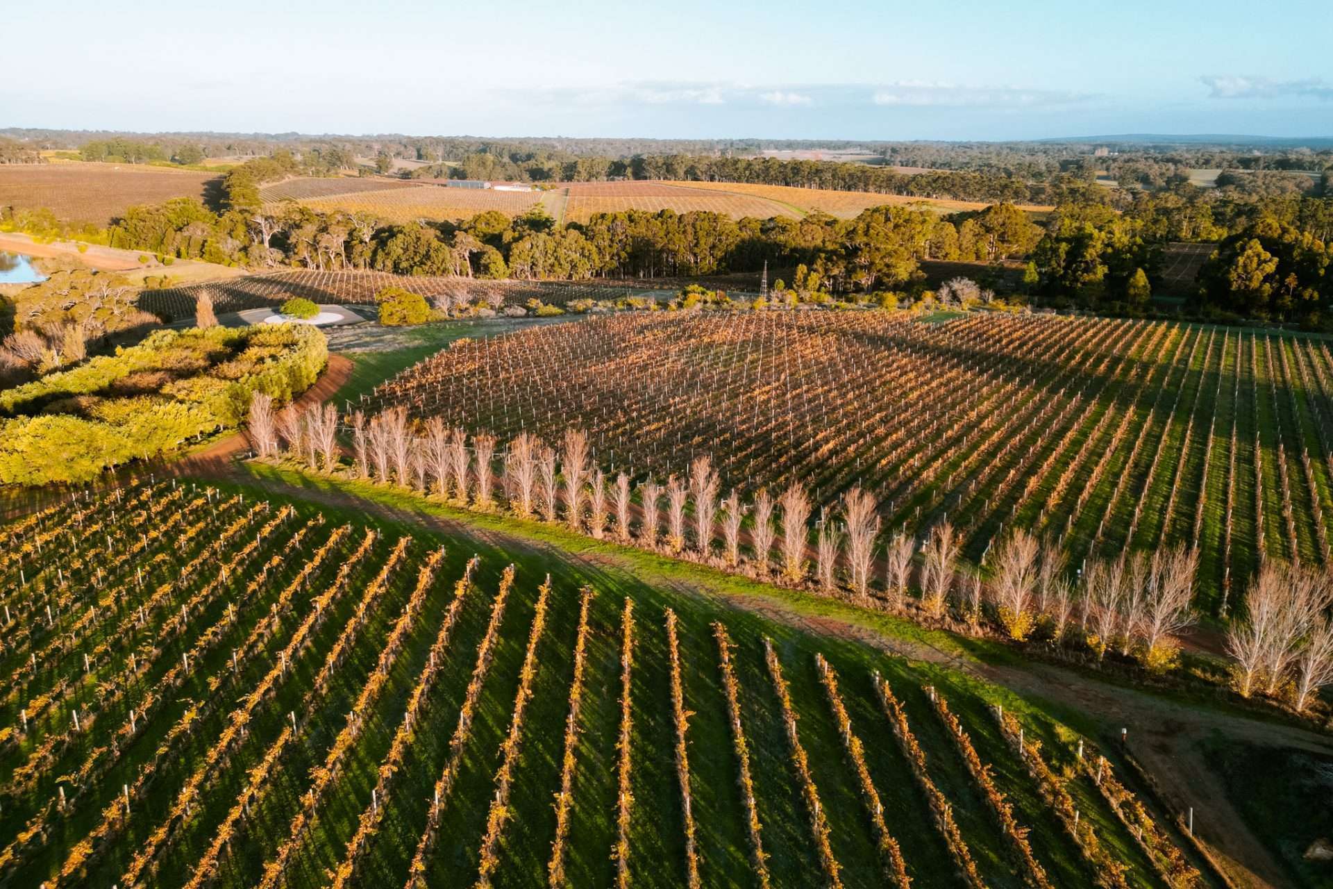 margaret river wijnstreek