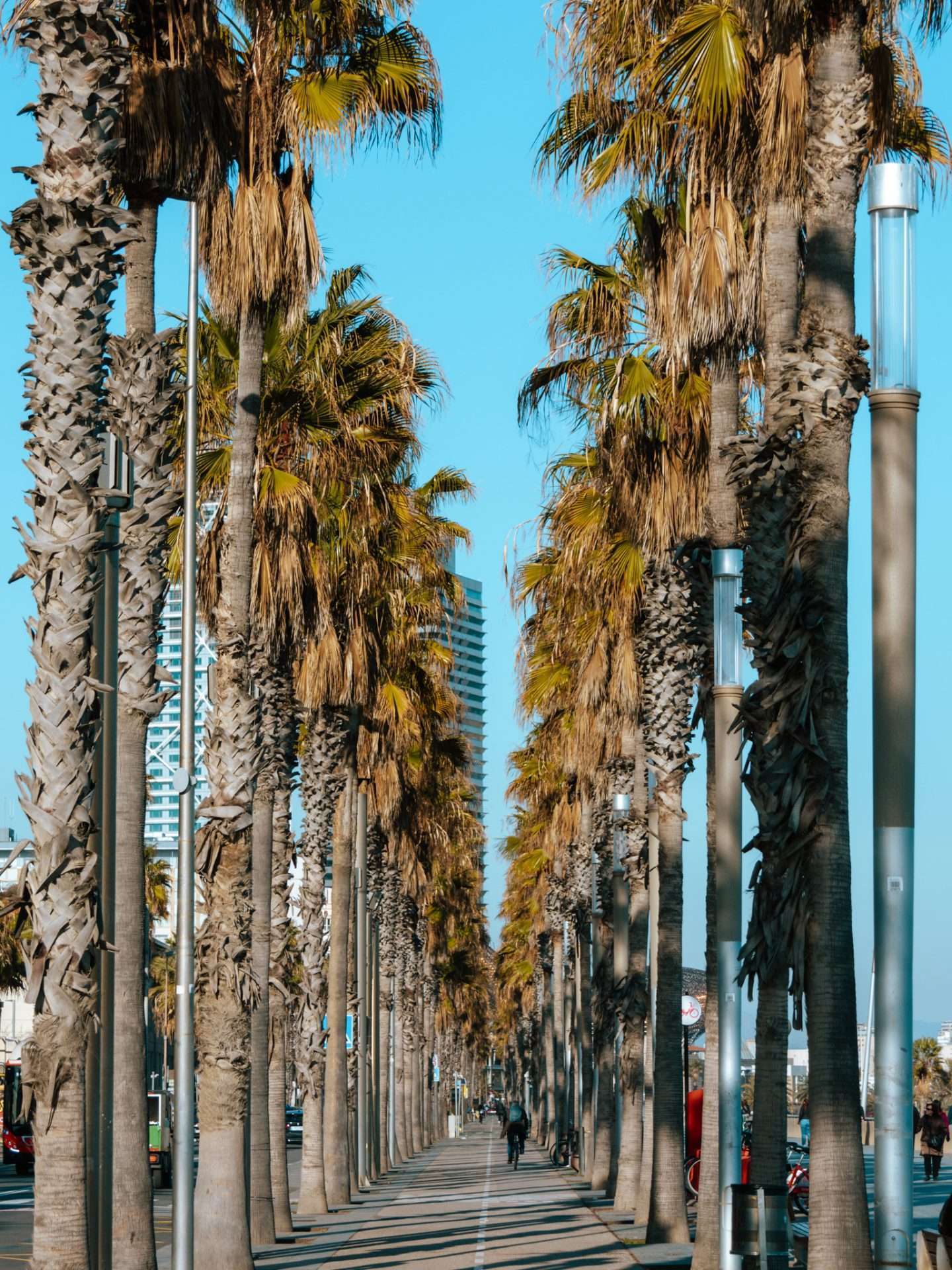 barcelona strand