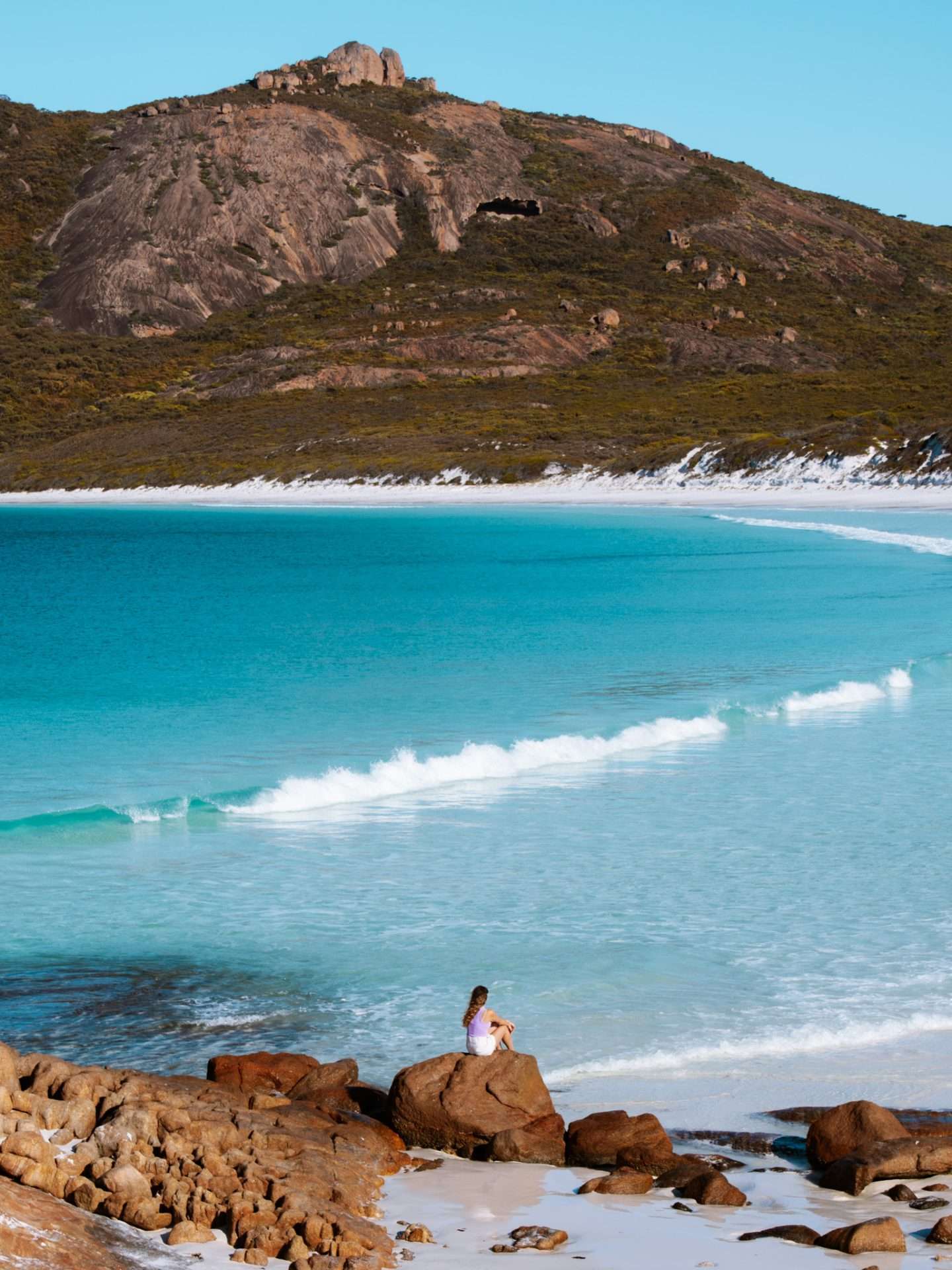 thistle cove