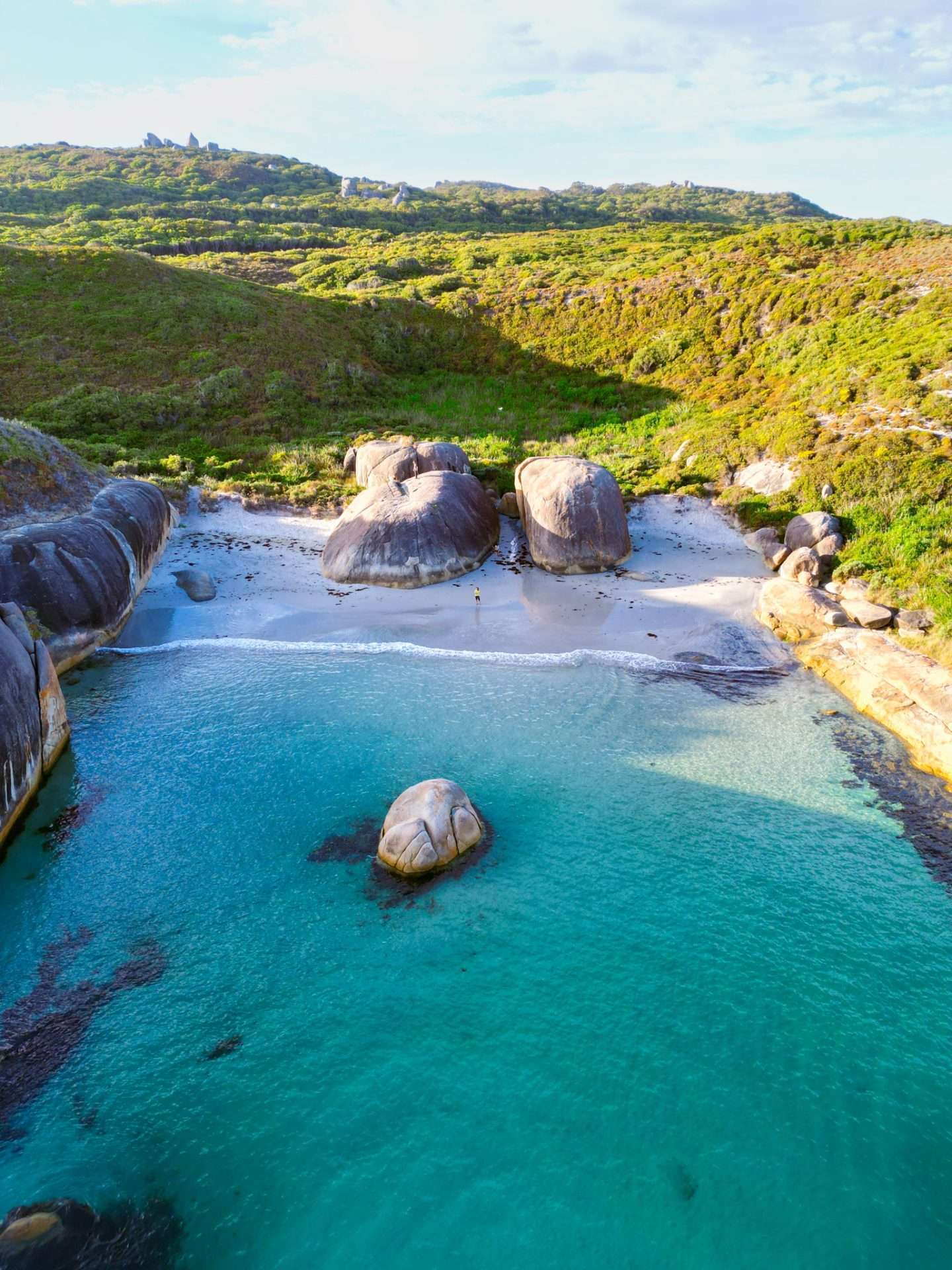 elephant rocks denmark