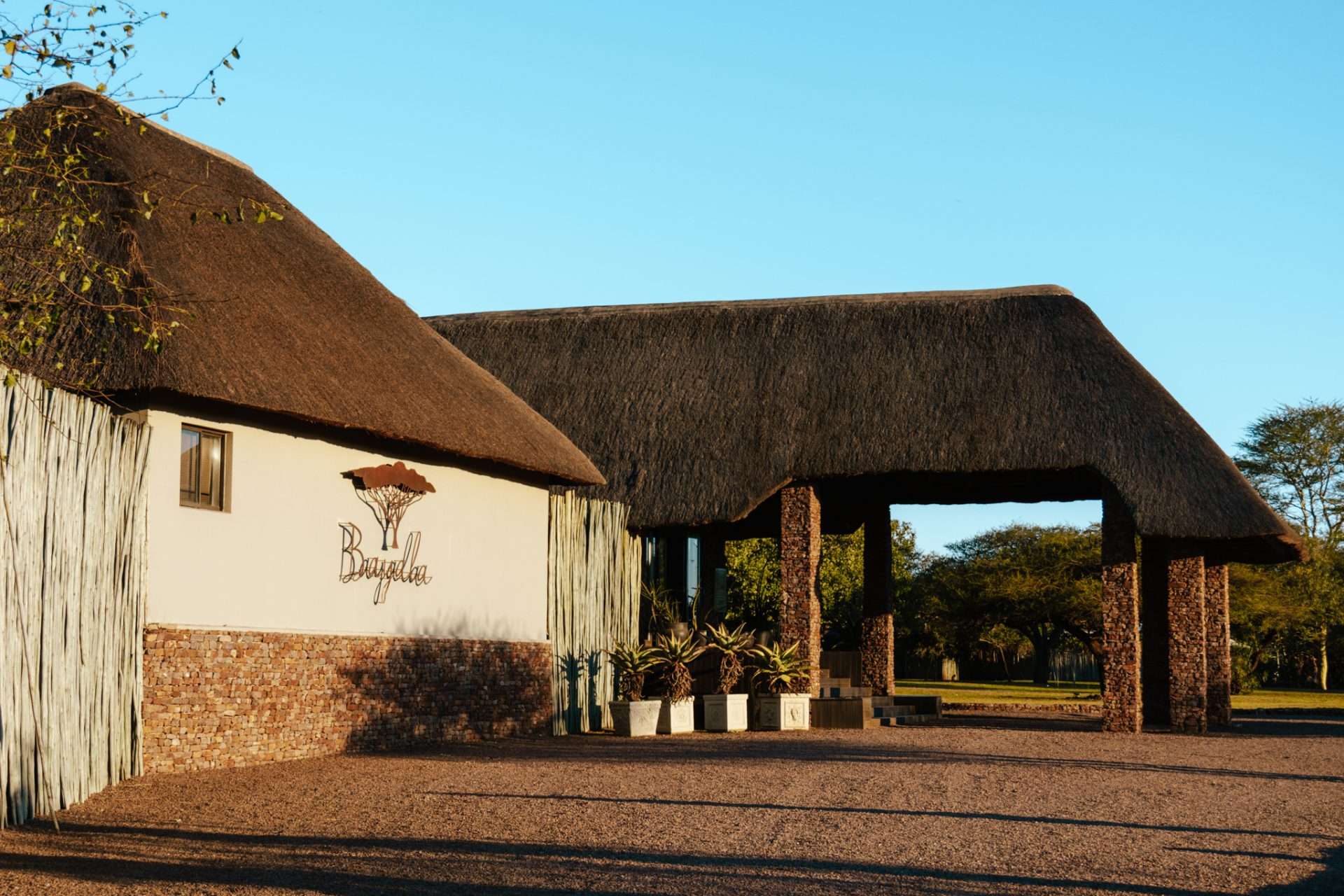 bayala safari lodge