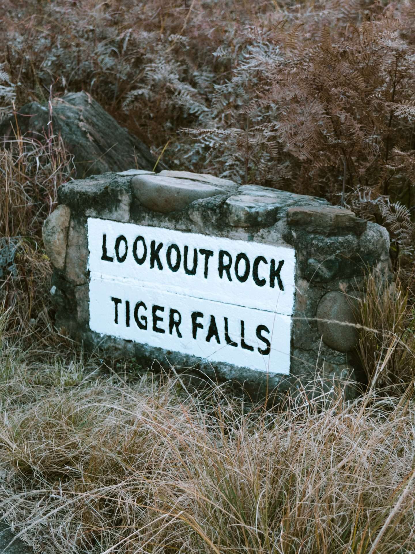 tiger falls