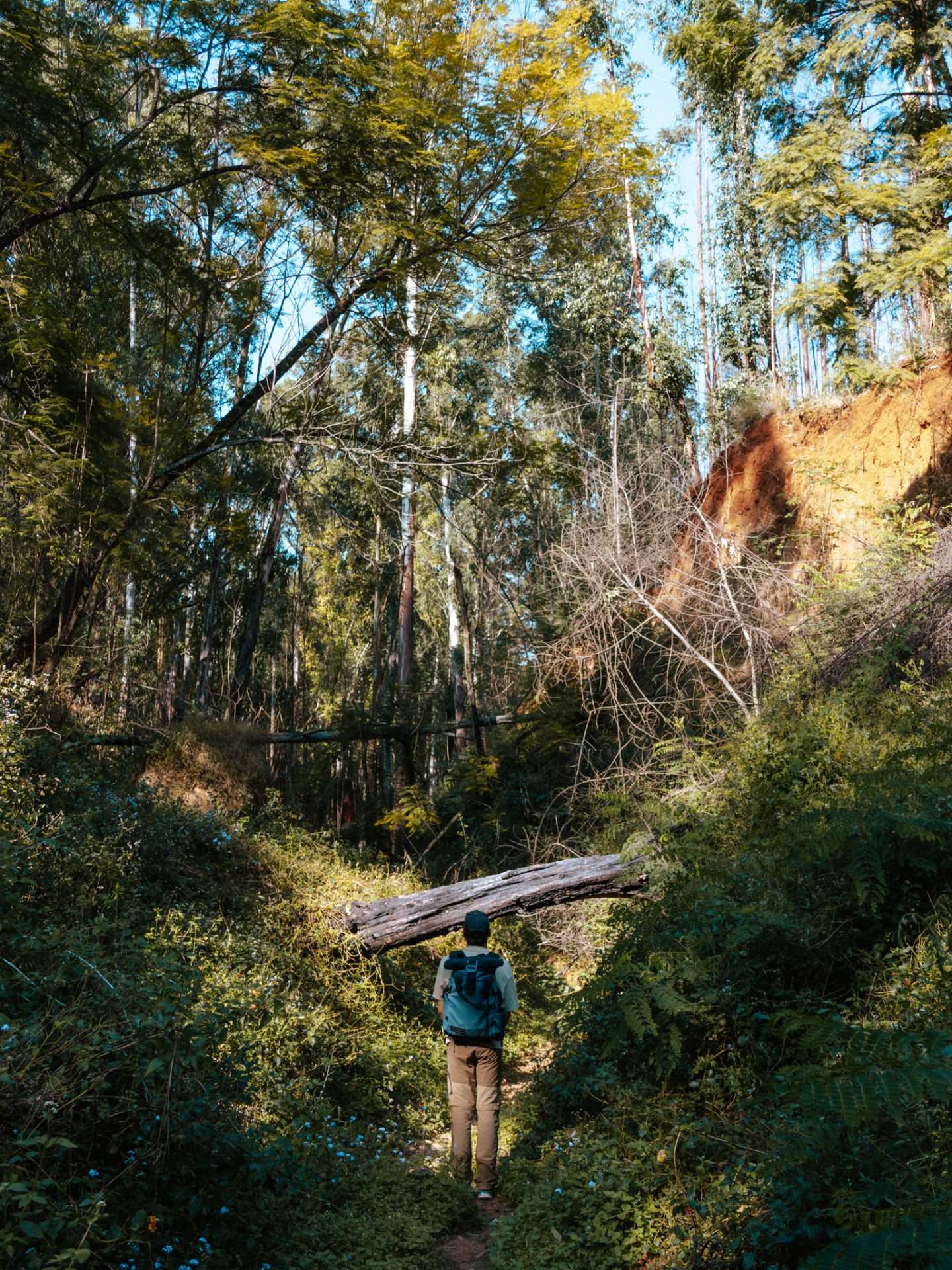 hippo trail eswatini