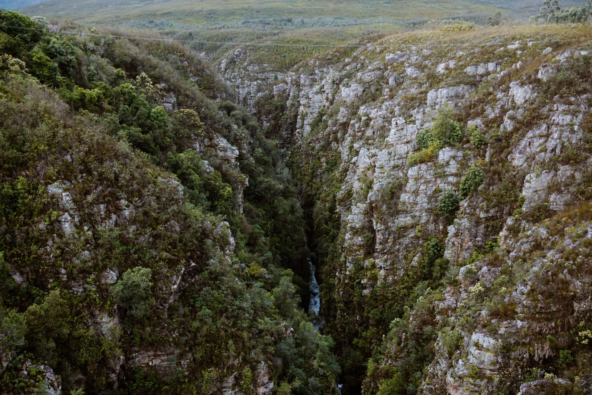tsitsikamma 