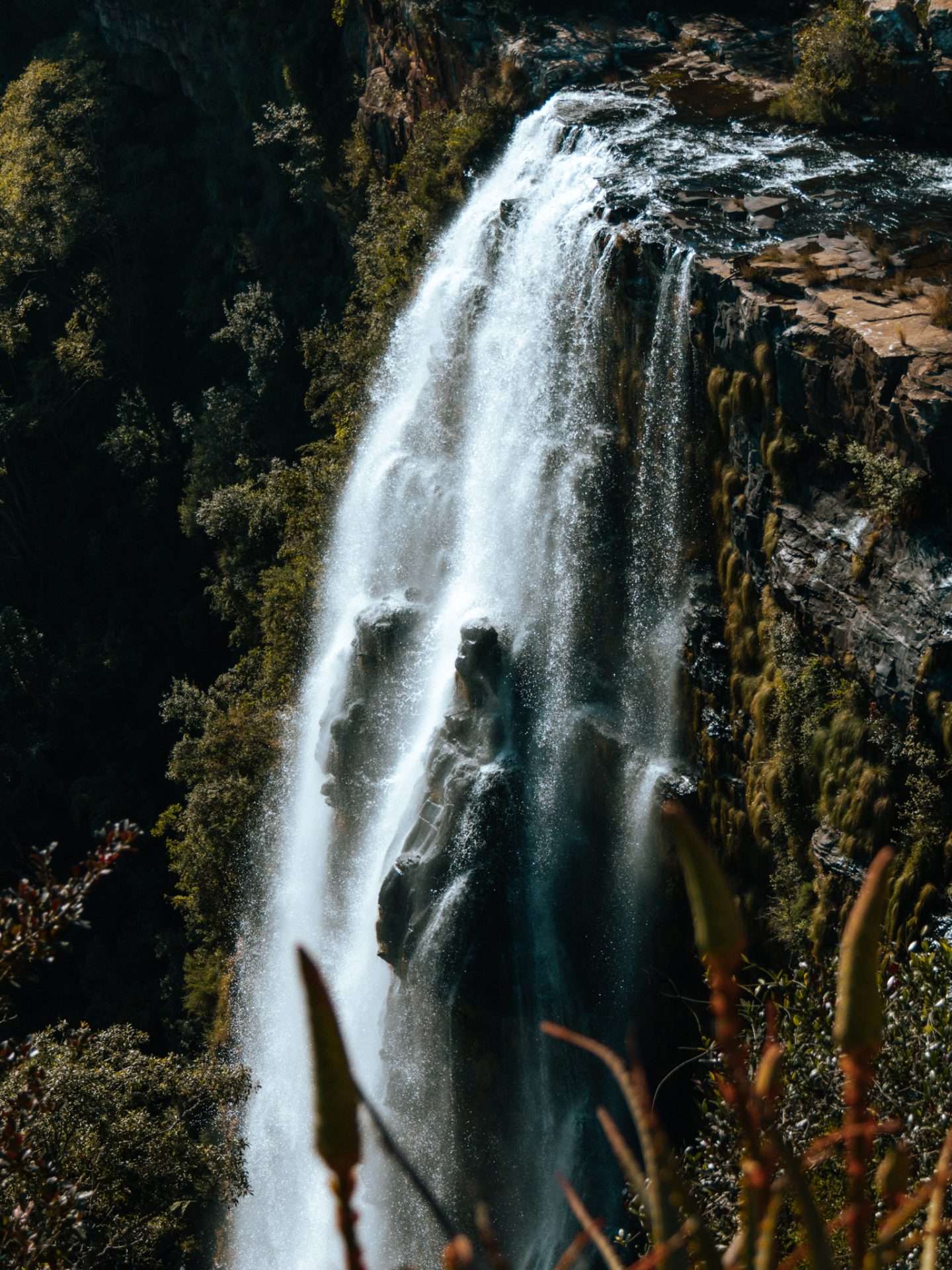 lisbon falls