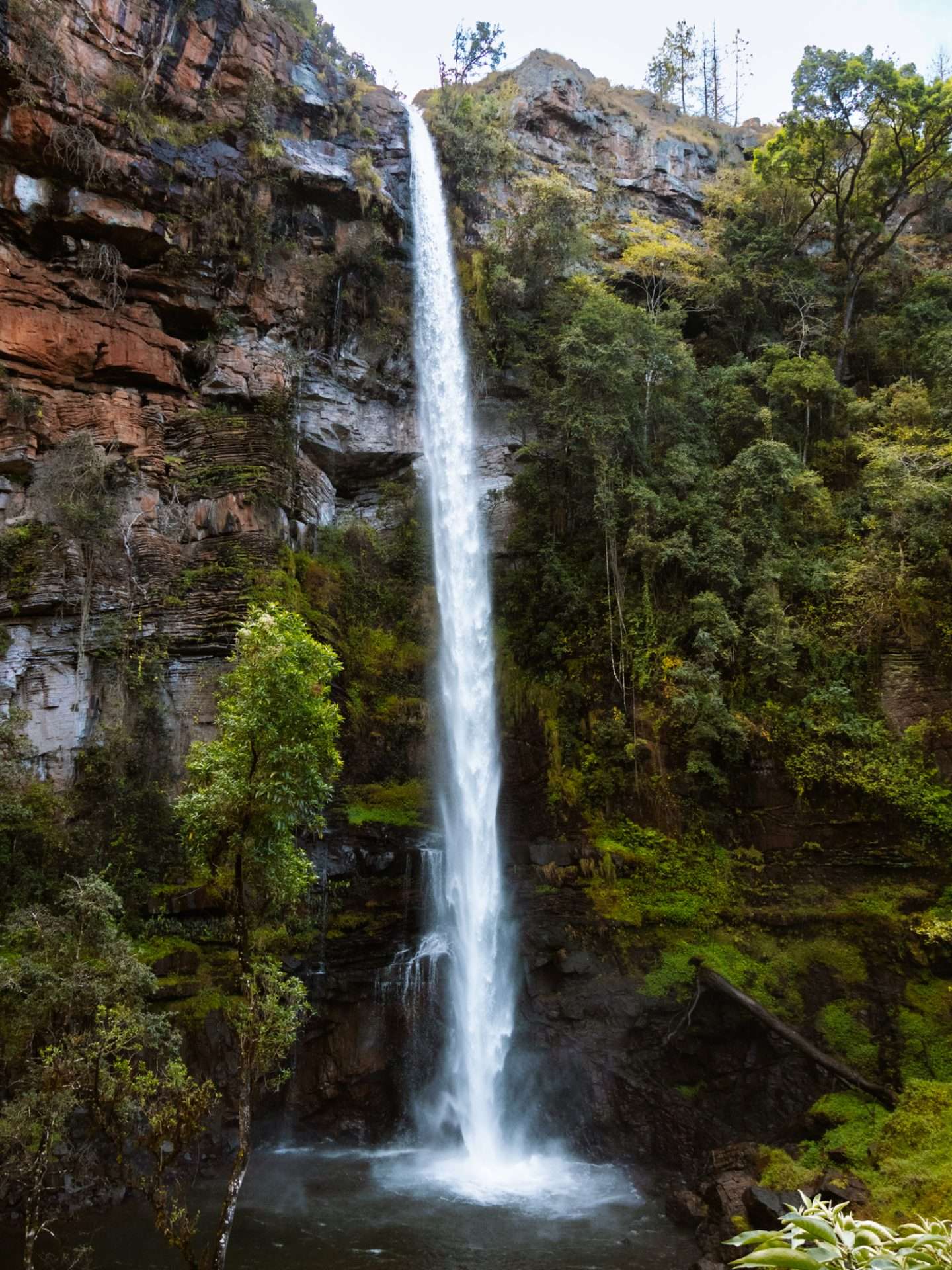 lone creek falls