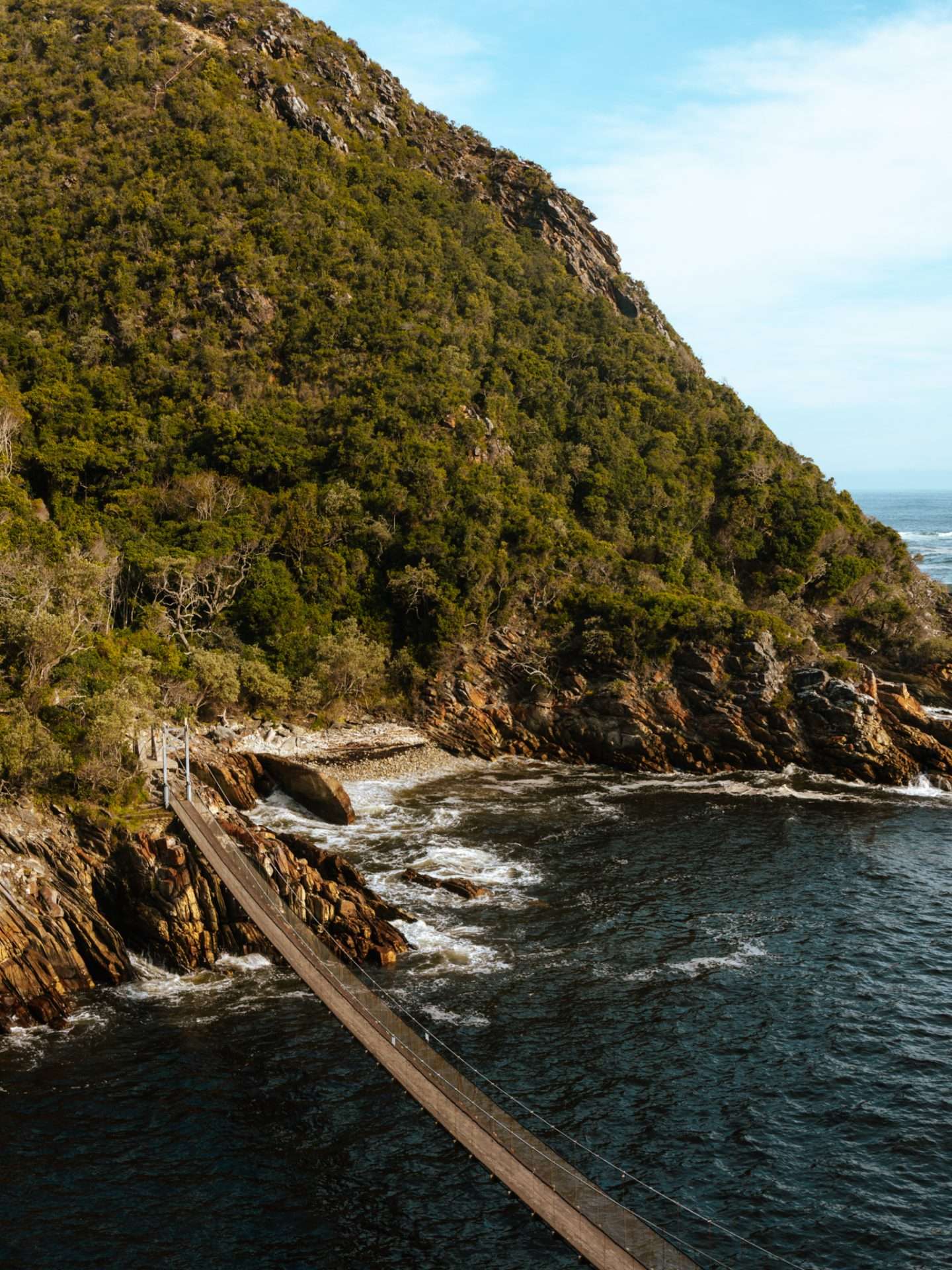suspension bridge trail tsitsikamma