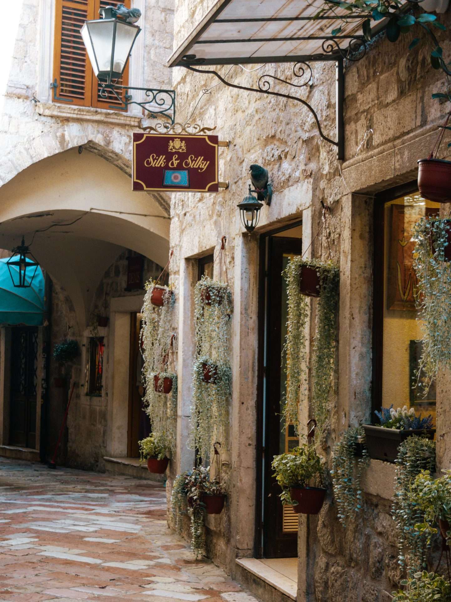 kotor old town