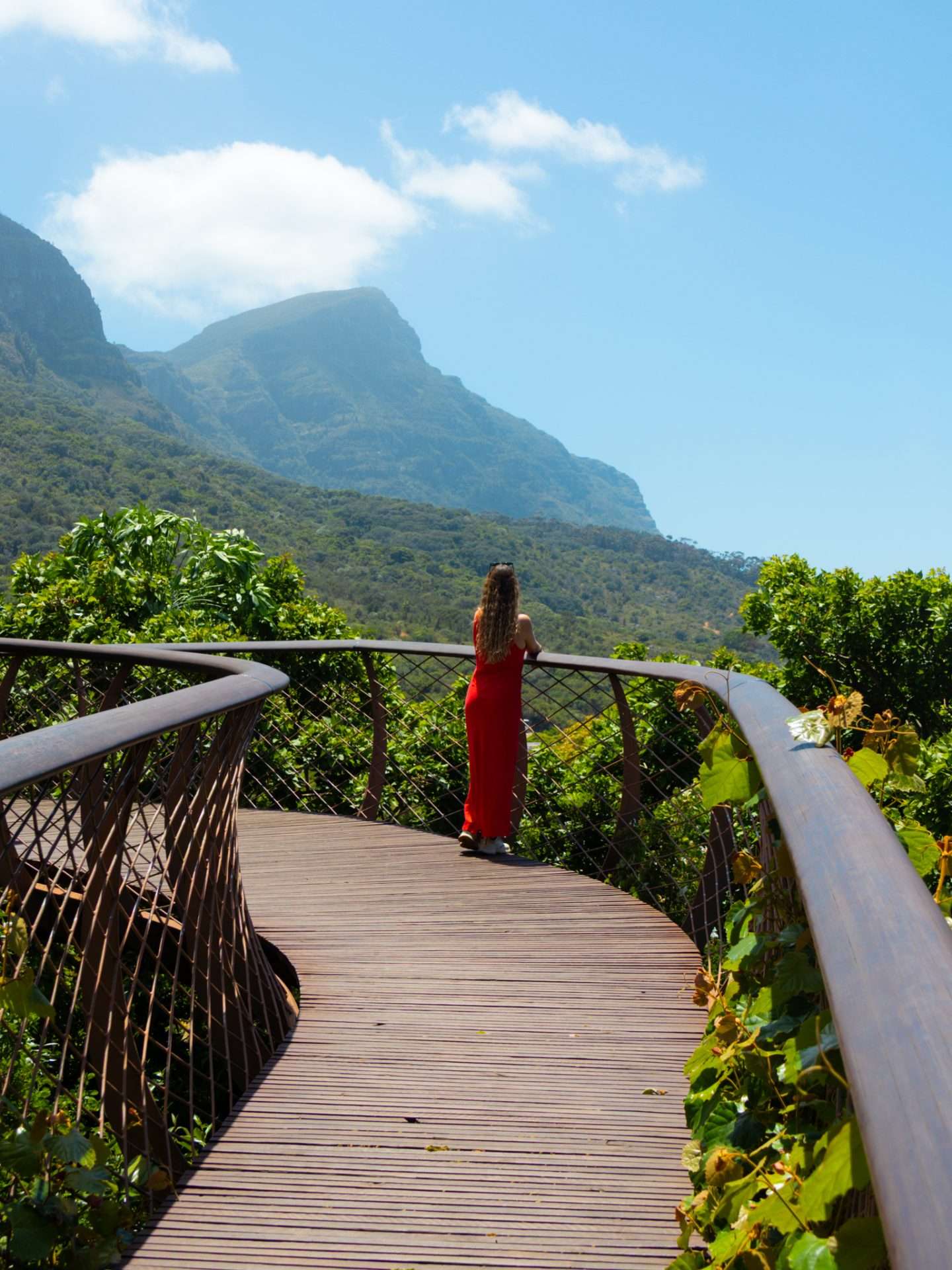 kirstenbosch botanical garden